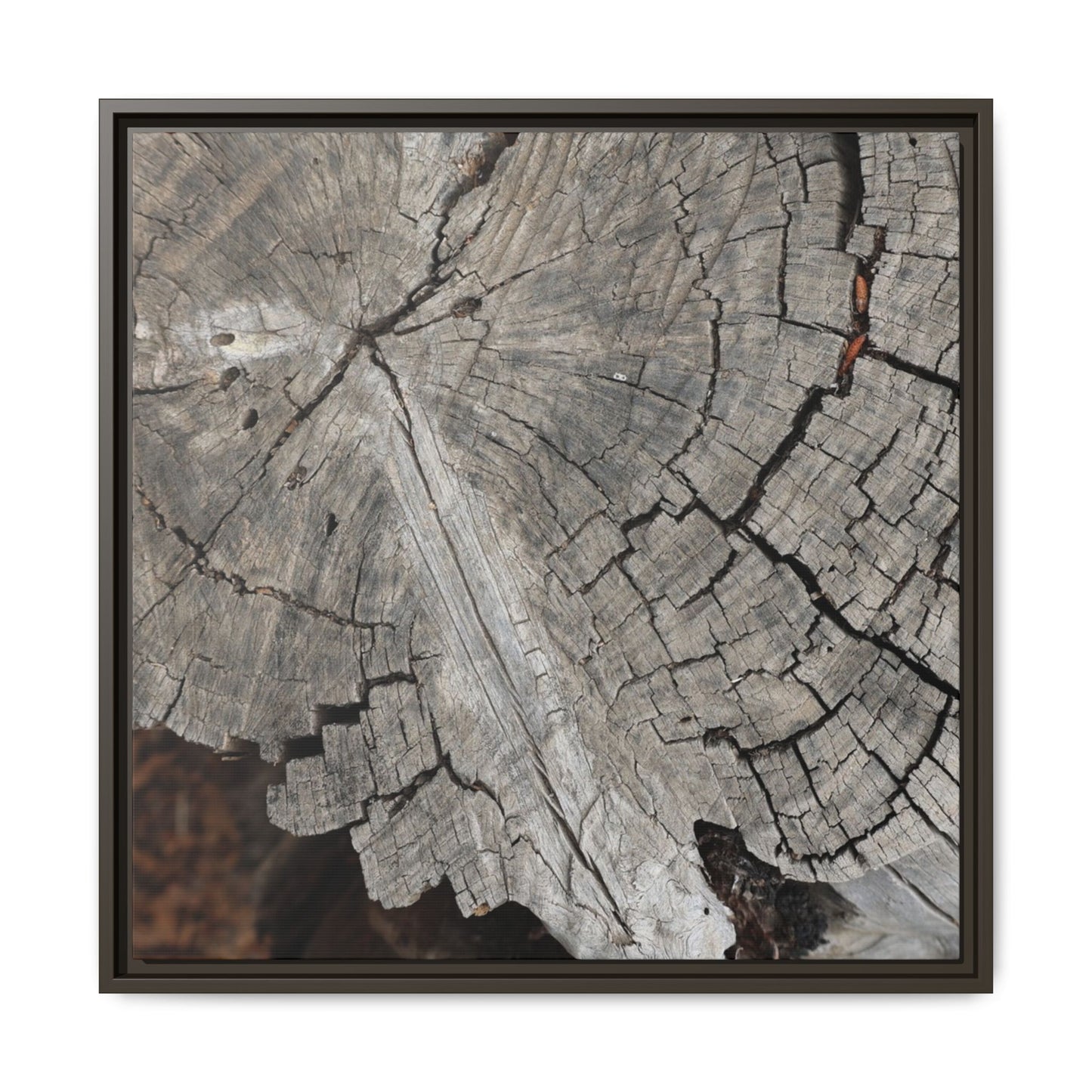 Time's Signature - Unique Stretched Canvas Wall Art
