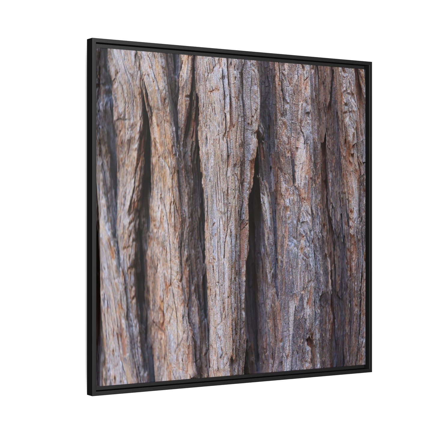 Ancient Grains - Unique Stretched Canvas Wall Art
