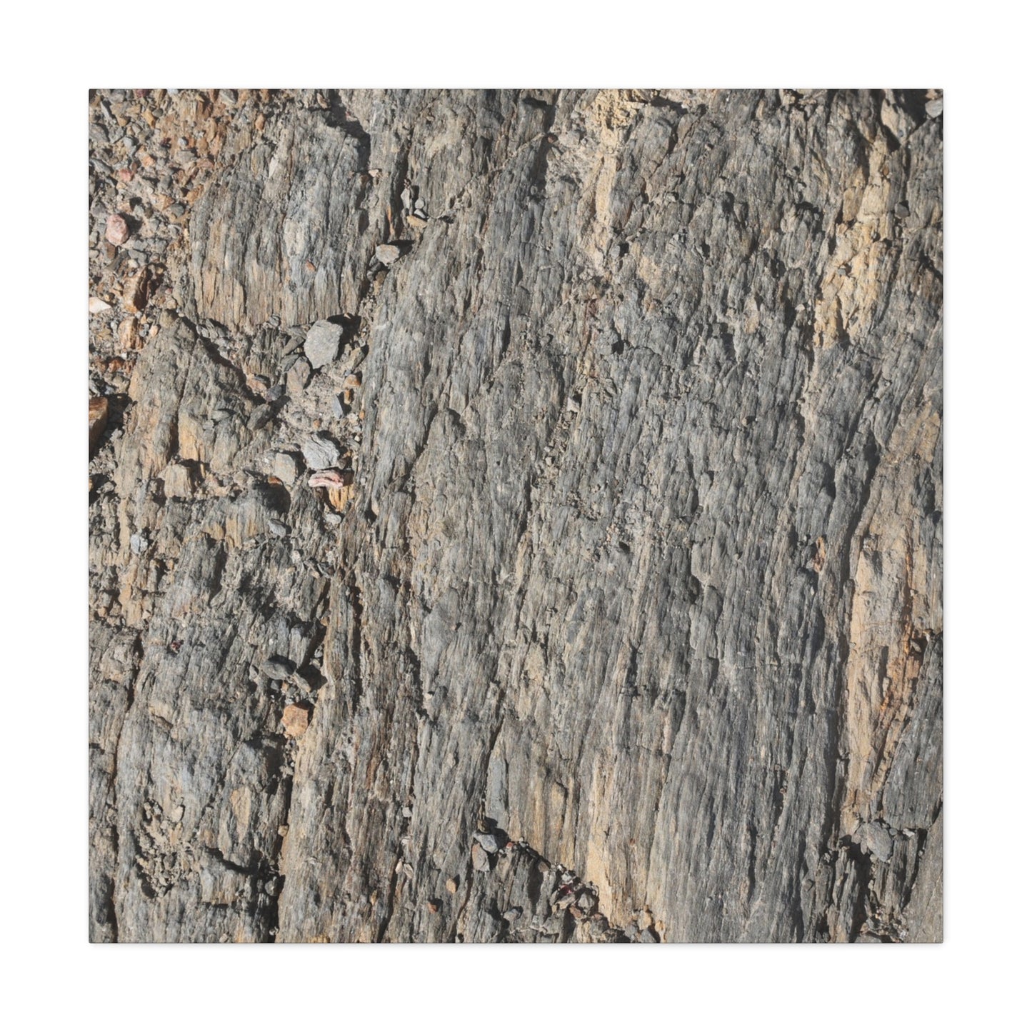 Bark Echoes - Unique Frameless Canvas Wall Art