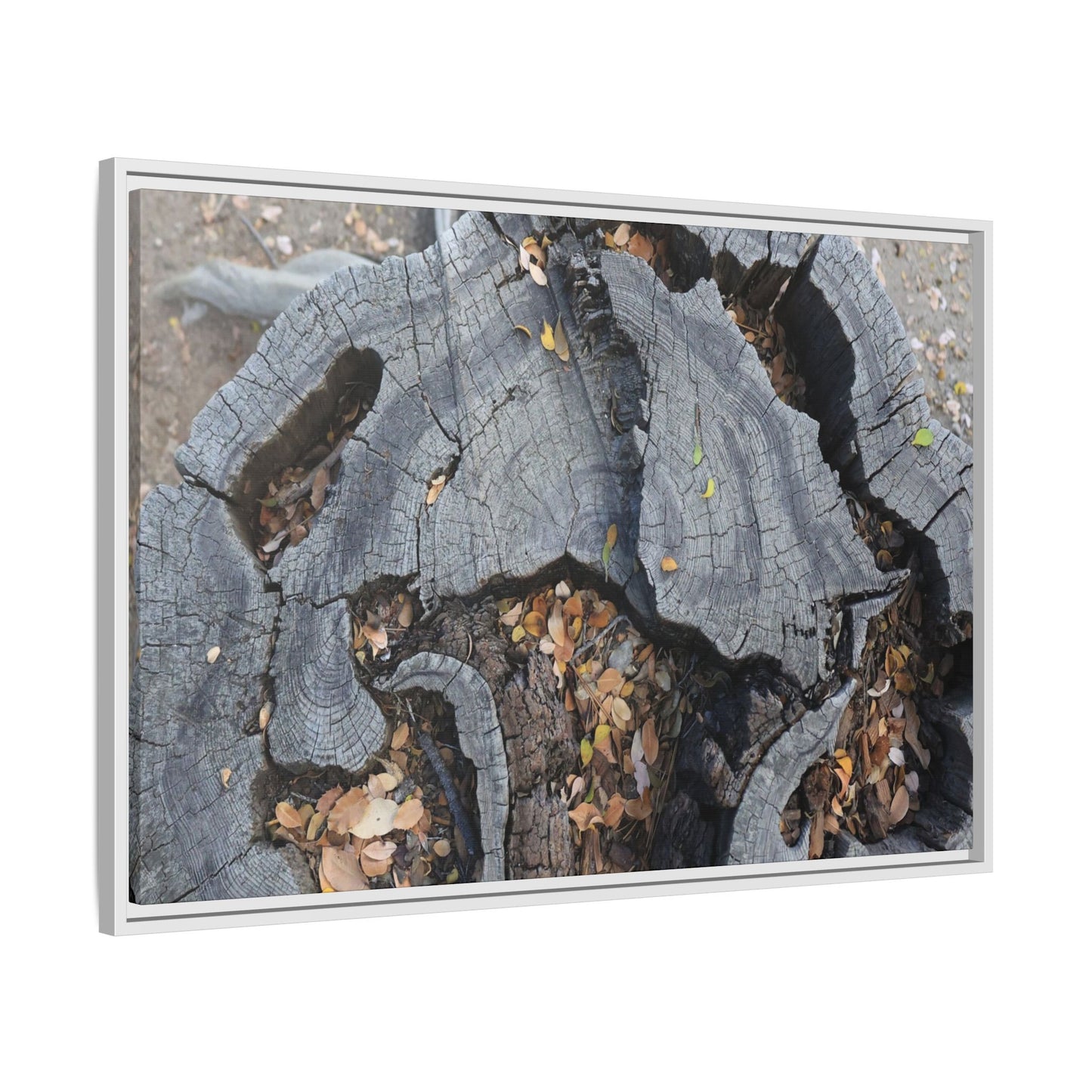 Time's Fractal Memory - Unique Stretched Canvas Wall Art