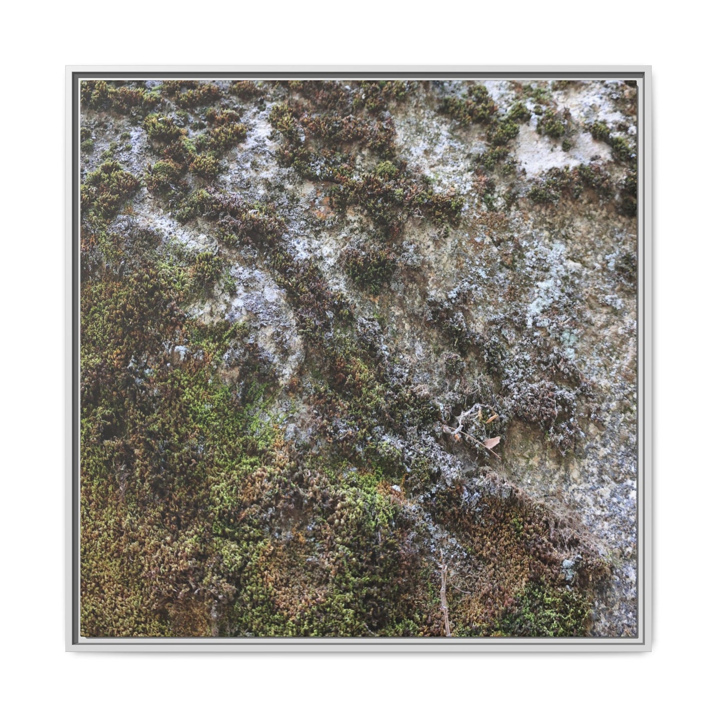 Mossy Whispers - Unique Stretched Canvas Wall Art