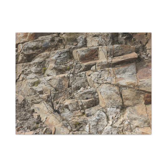 Broken Rock Canvas - Unique Frameless Canvas Wall Art - Art By Earth
