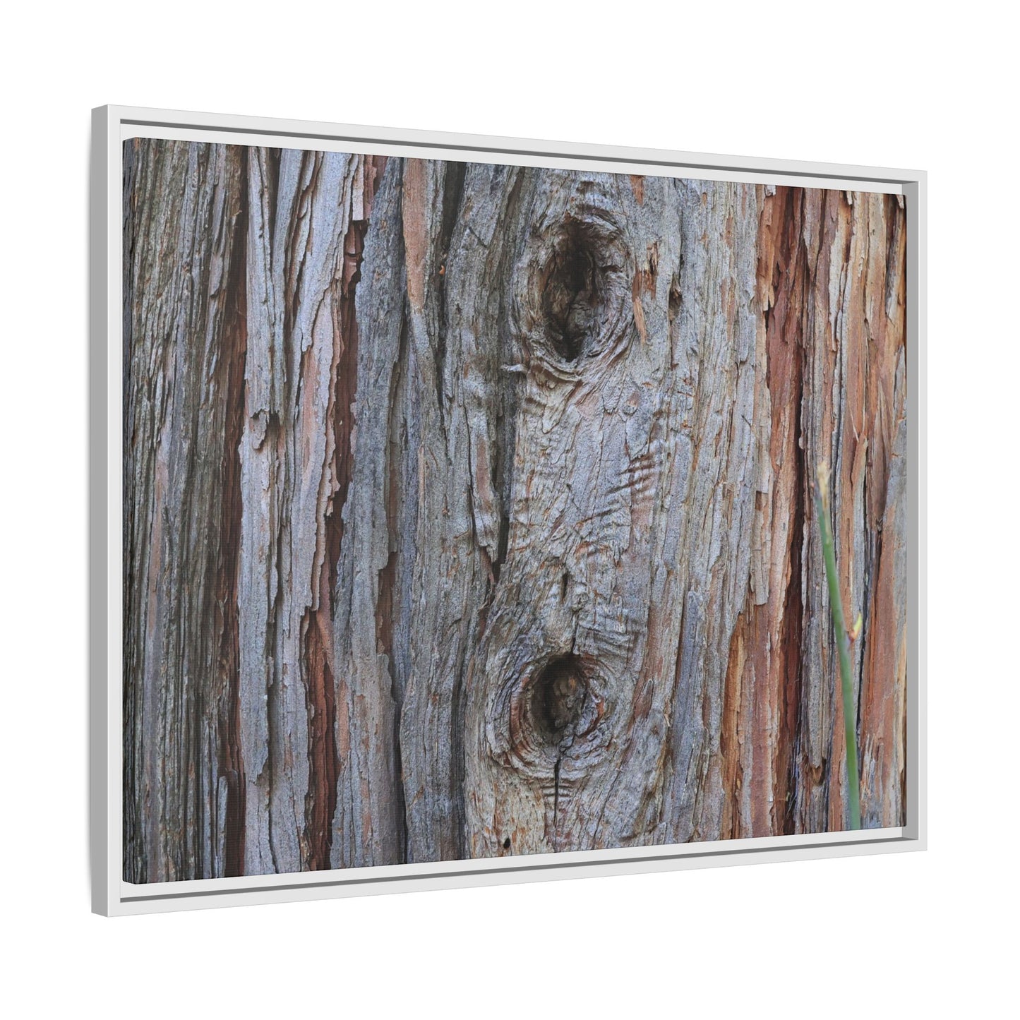 Knotty Nature - Unique Stretched Canvas Wall Art