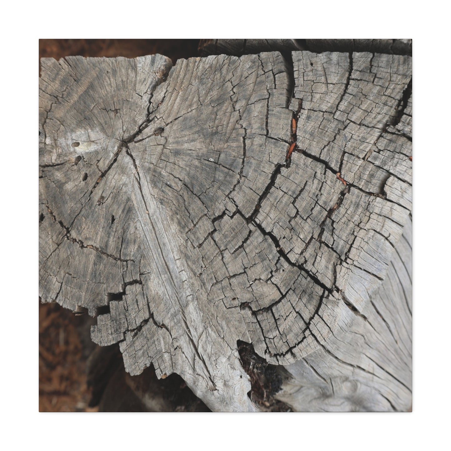 Cracked Memories - Unique Frameless Canvas Wall Art