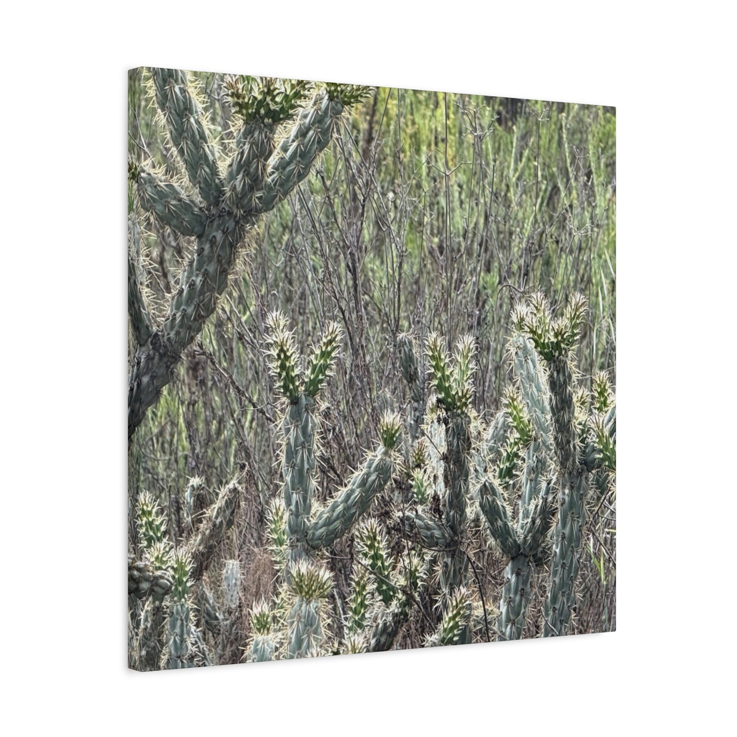 Spiny Sentinels - Unique Frameless Canvas Wall Art