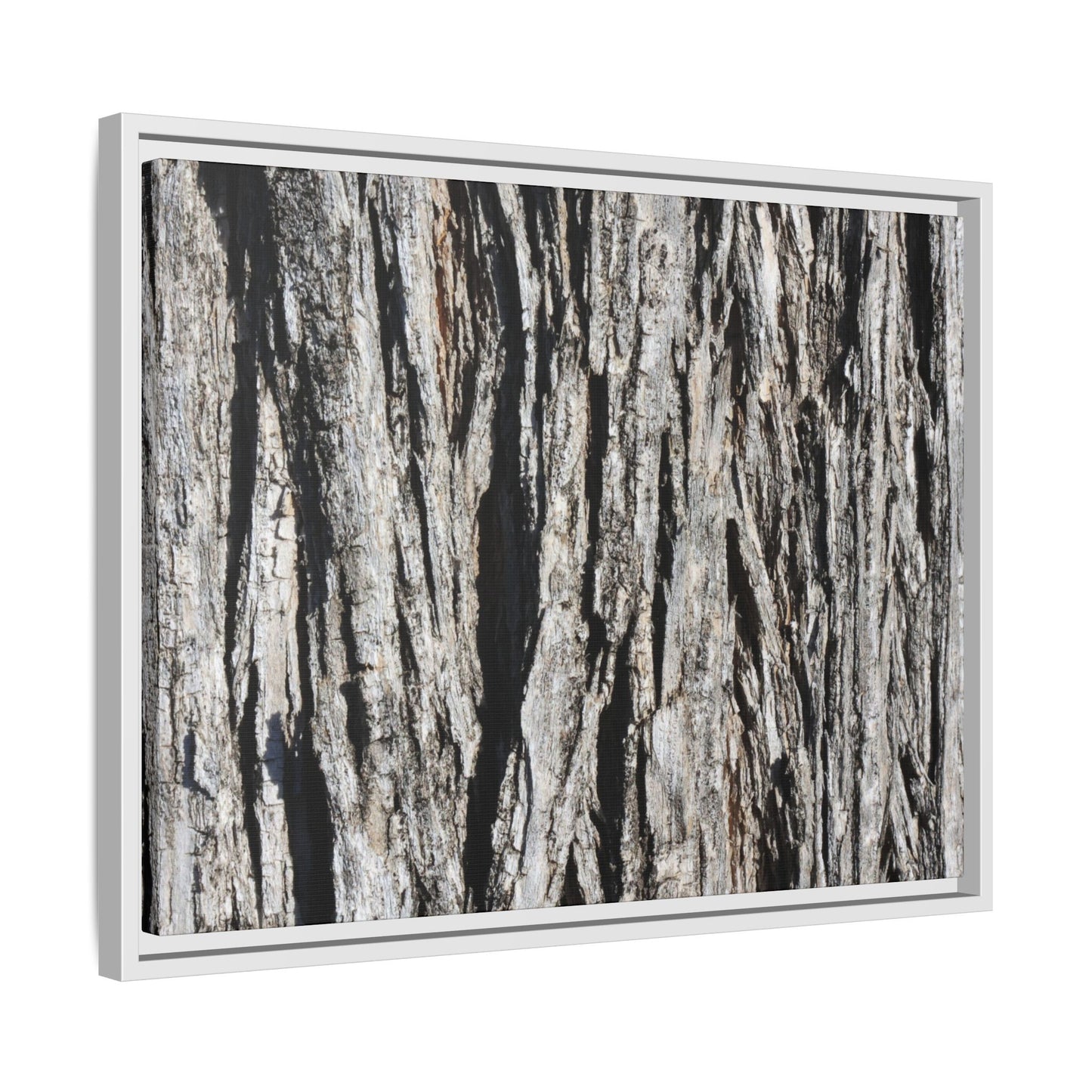 Bark Lines - Unique Stretched Canvas Wall Art