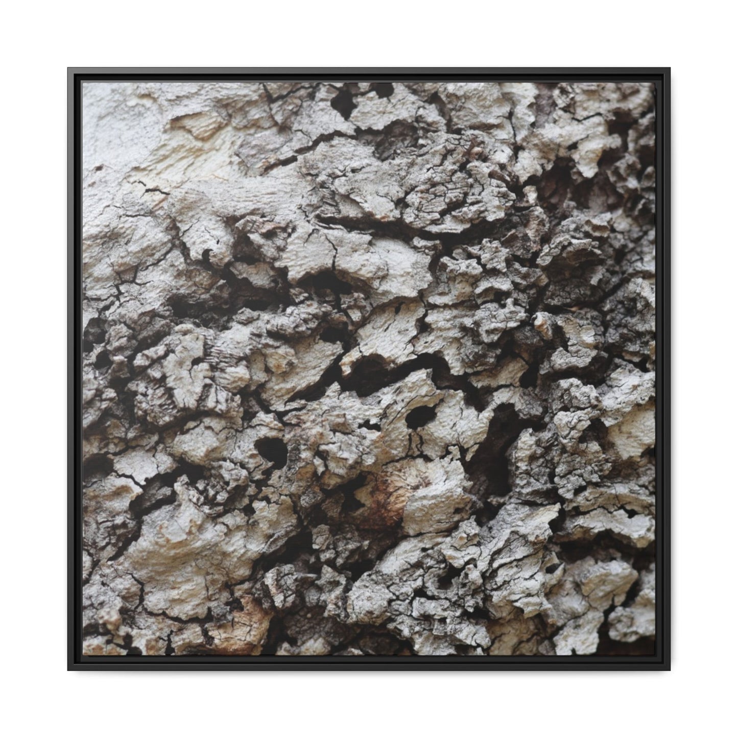 Cracked Terrain - Unique Stretched Canvas Wall Art