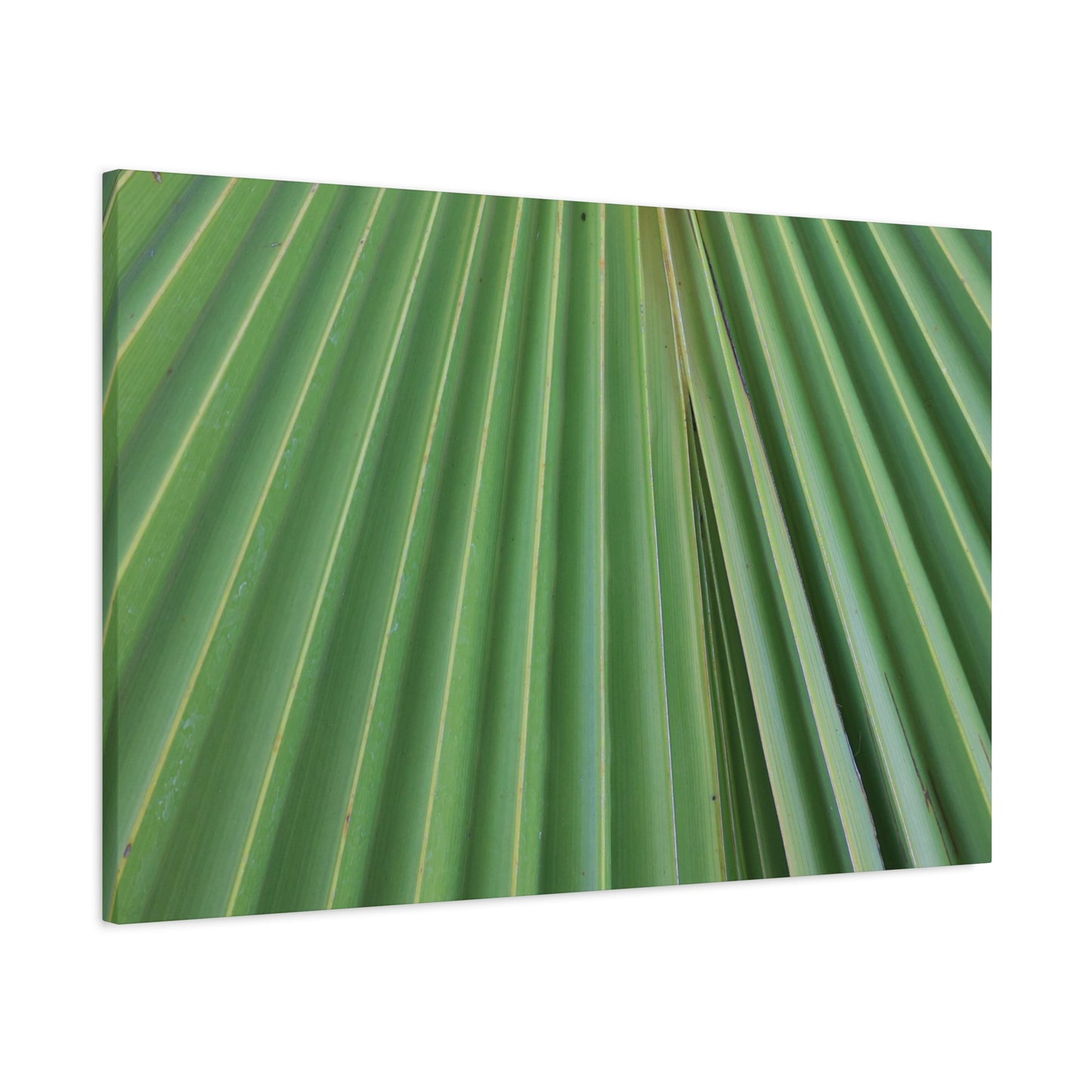 Fan of Green - Unique Frameless Canvas Wall Art