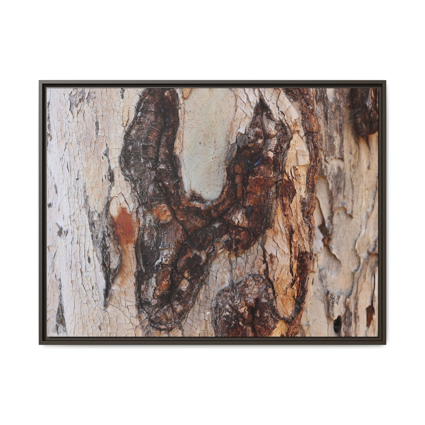 Texture of Time - Unique Stretched Canvas Wall Art