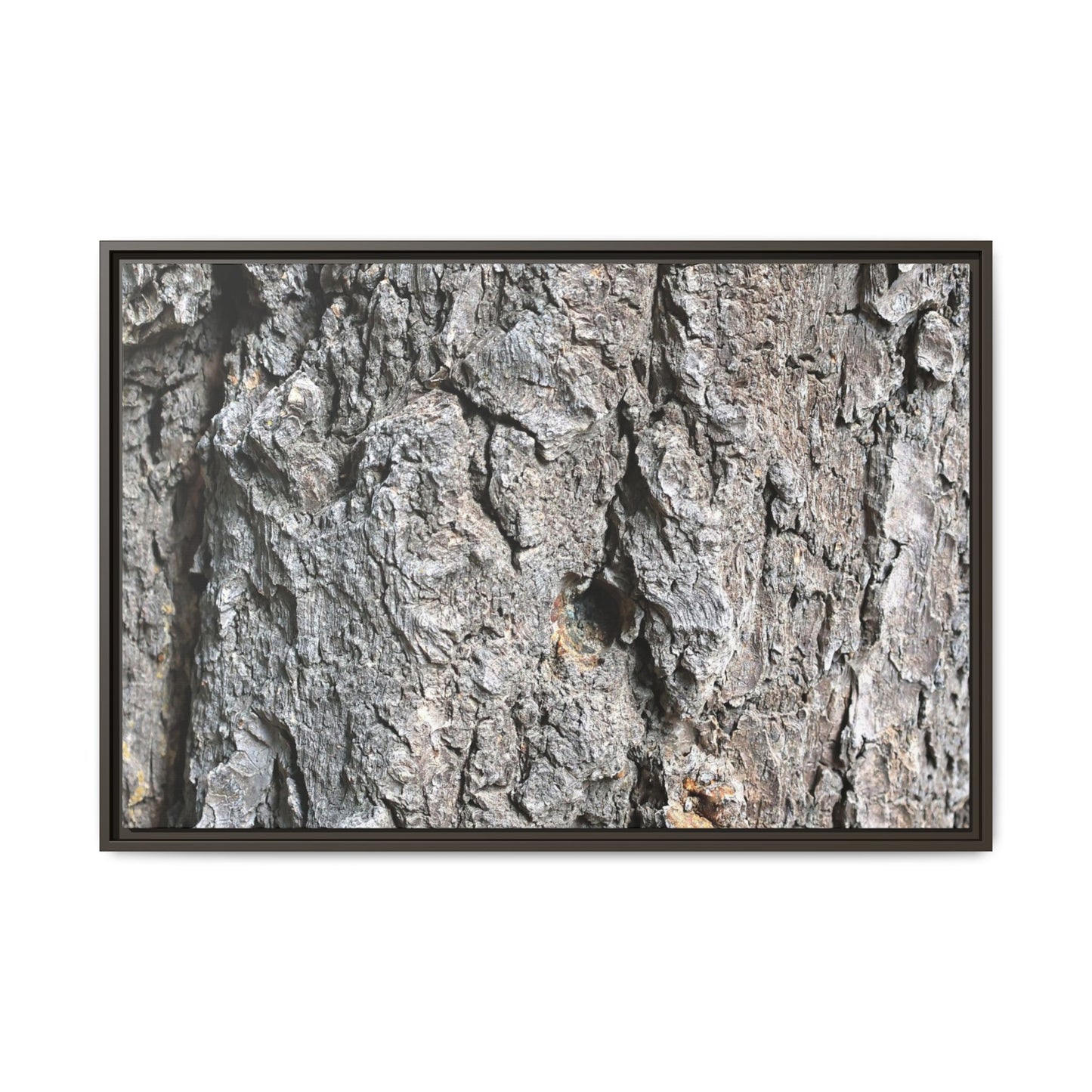 Crusty Exterior - Unique Stretched Canvas Wall Art