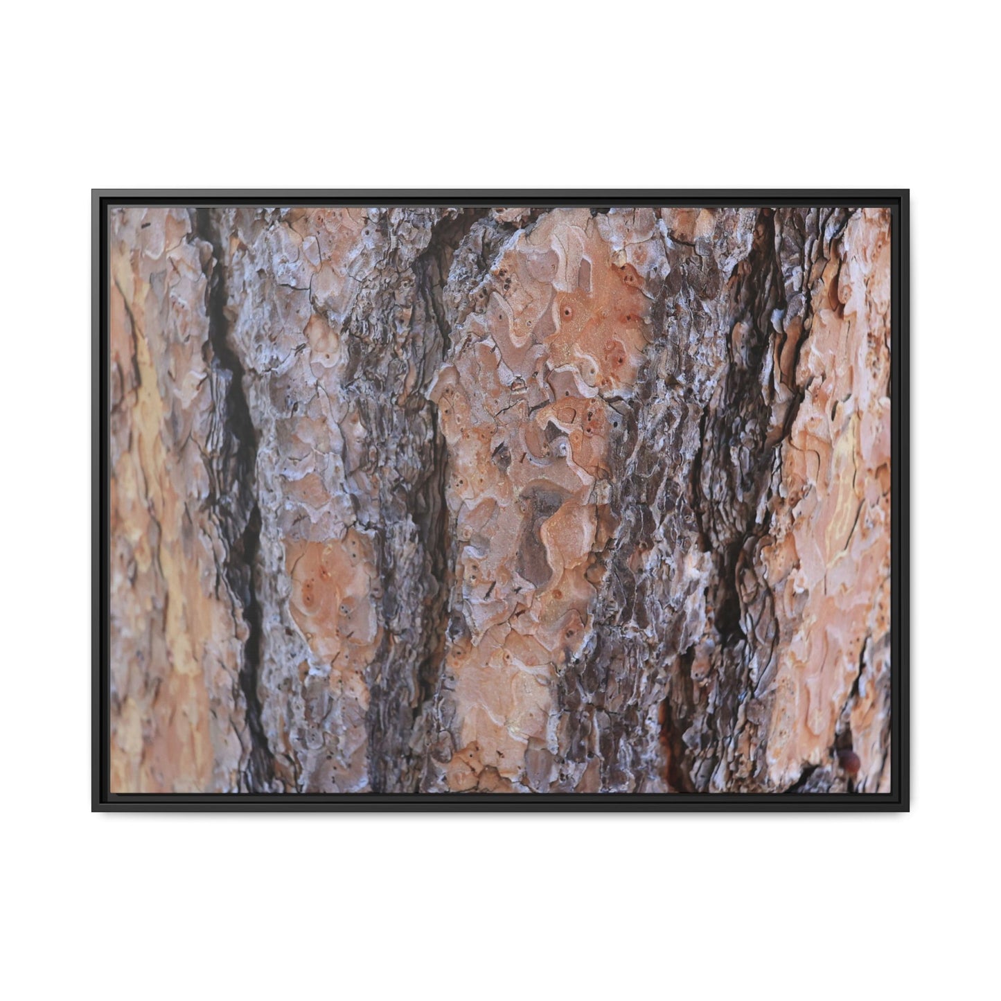 Earthy Embrace - Unique Stretched Canvas Wall Art