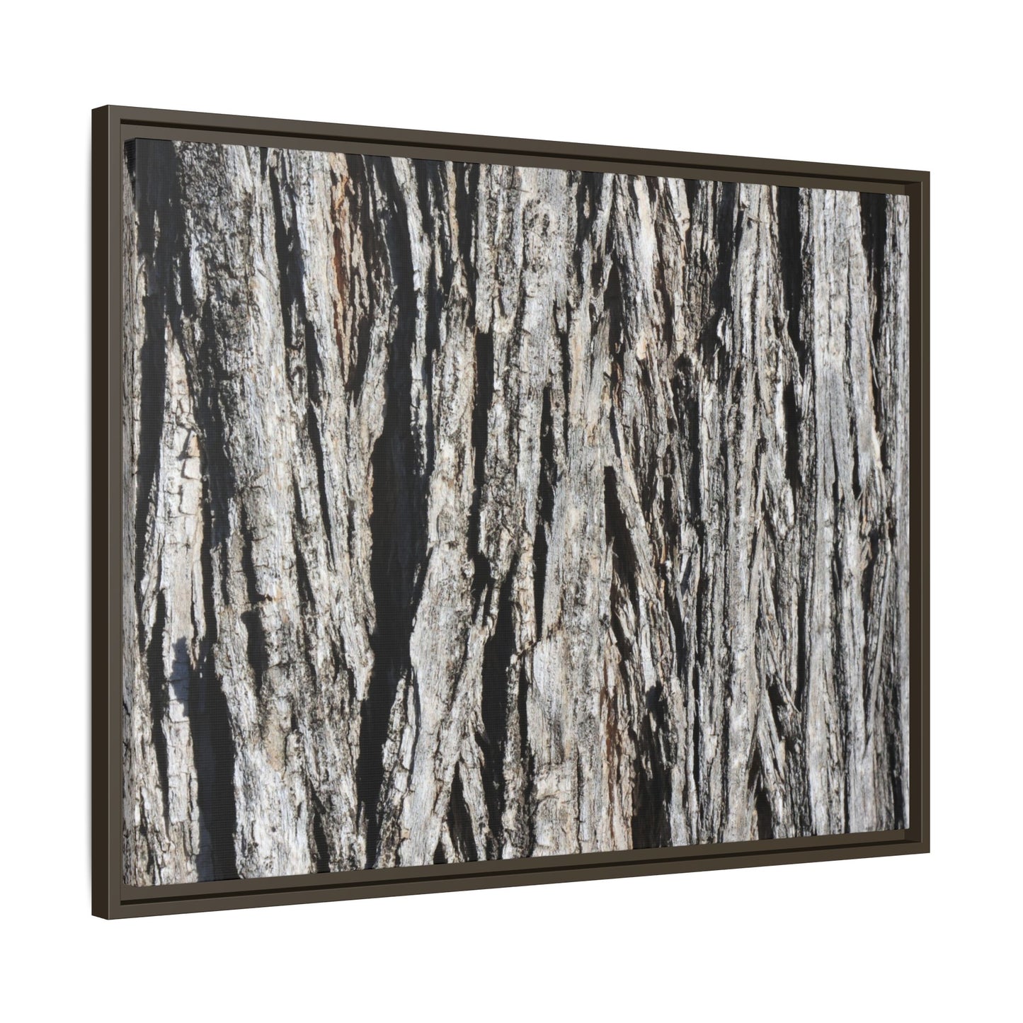 Nature's Abstract - Unique Stretched Canvas Wall Art