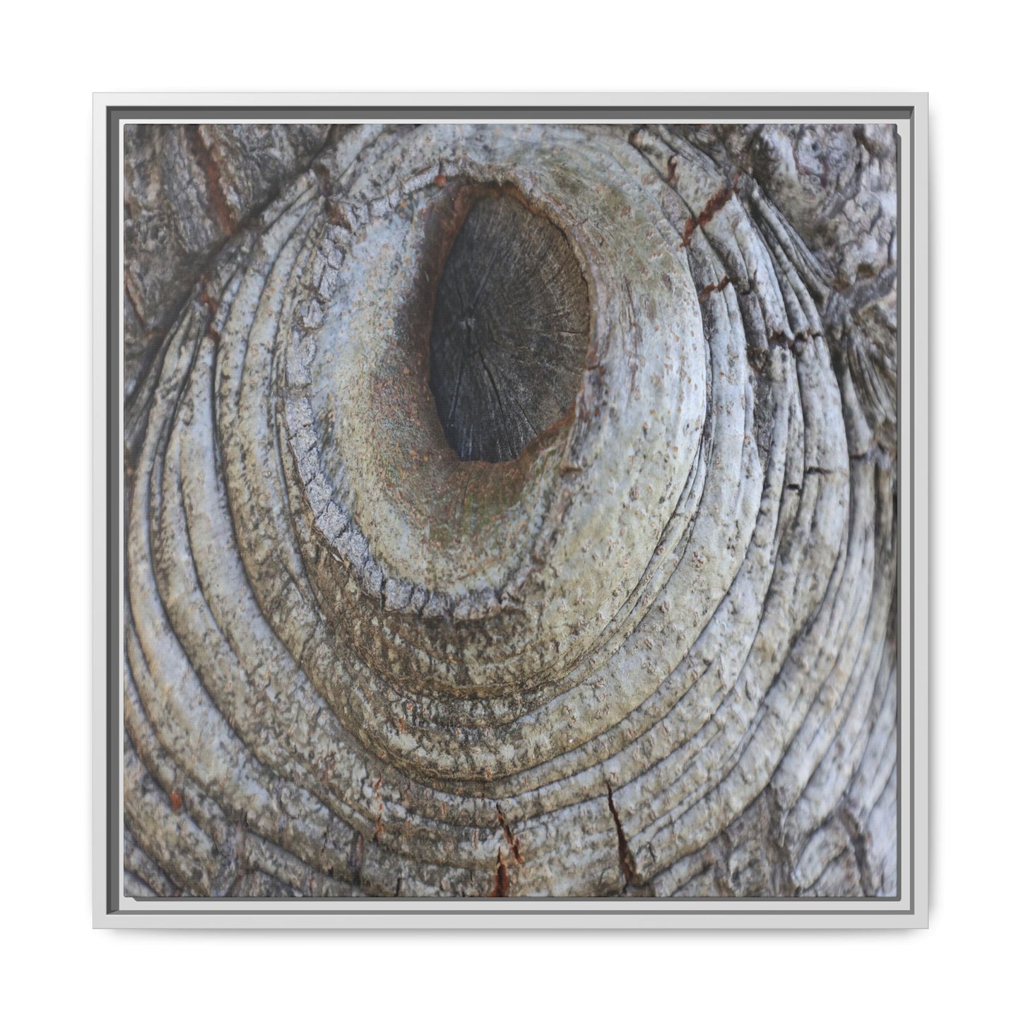Echoes of Time - Unique Stretched Canvas Wall Art