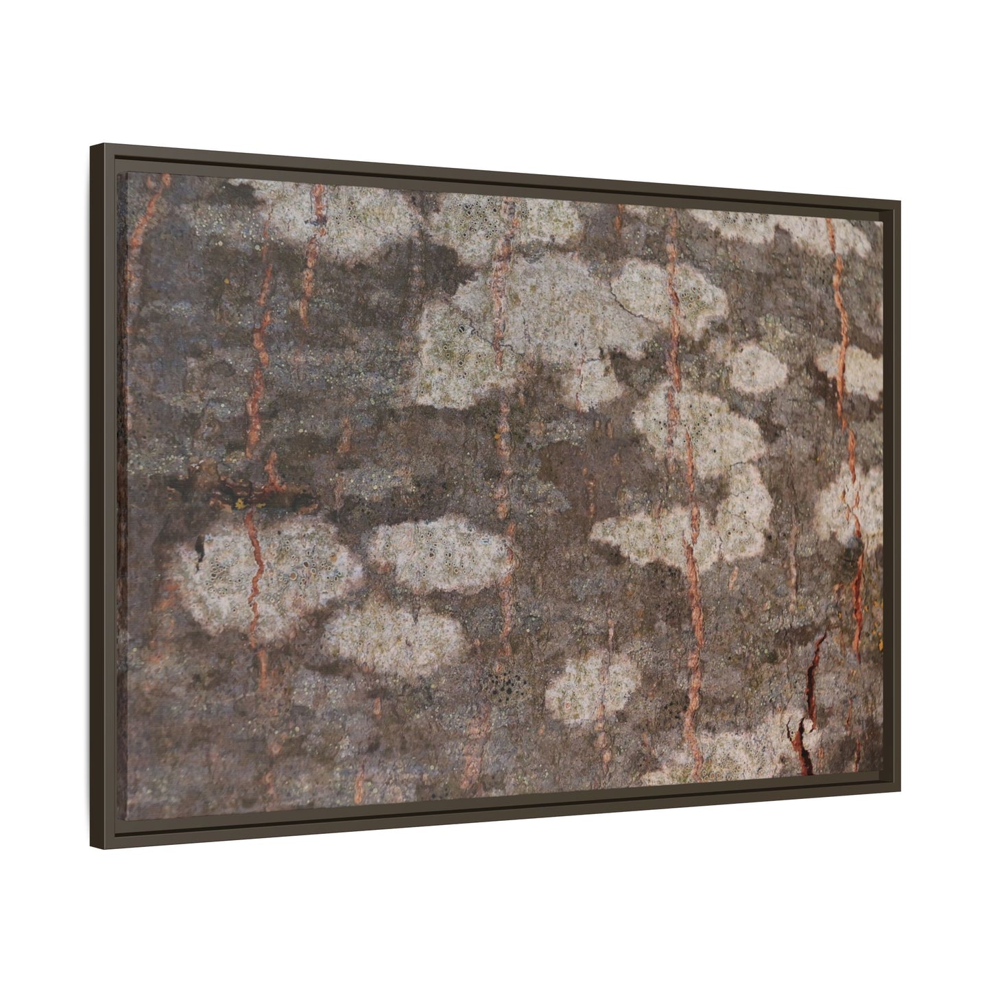 Lichen's Legacy - Unique Stretched Canvas Wall Art