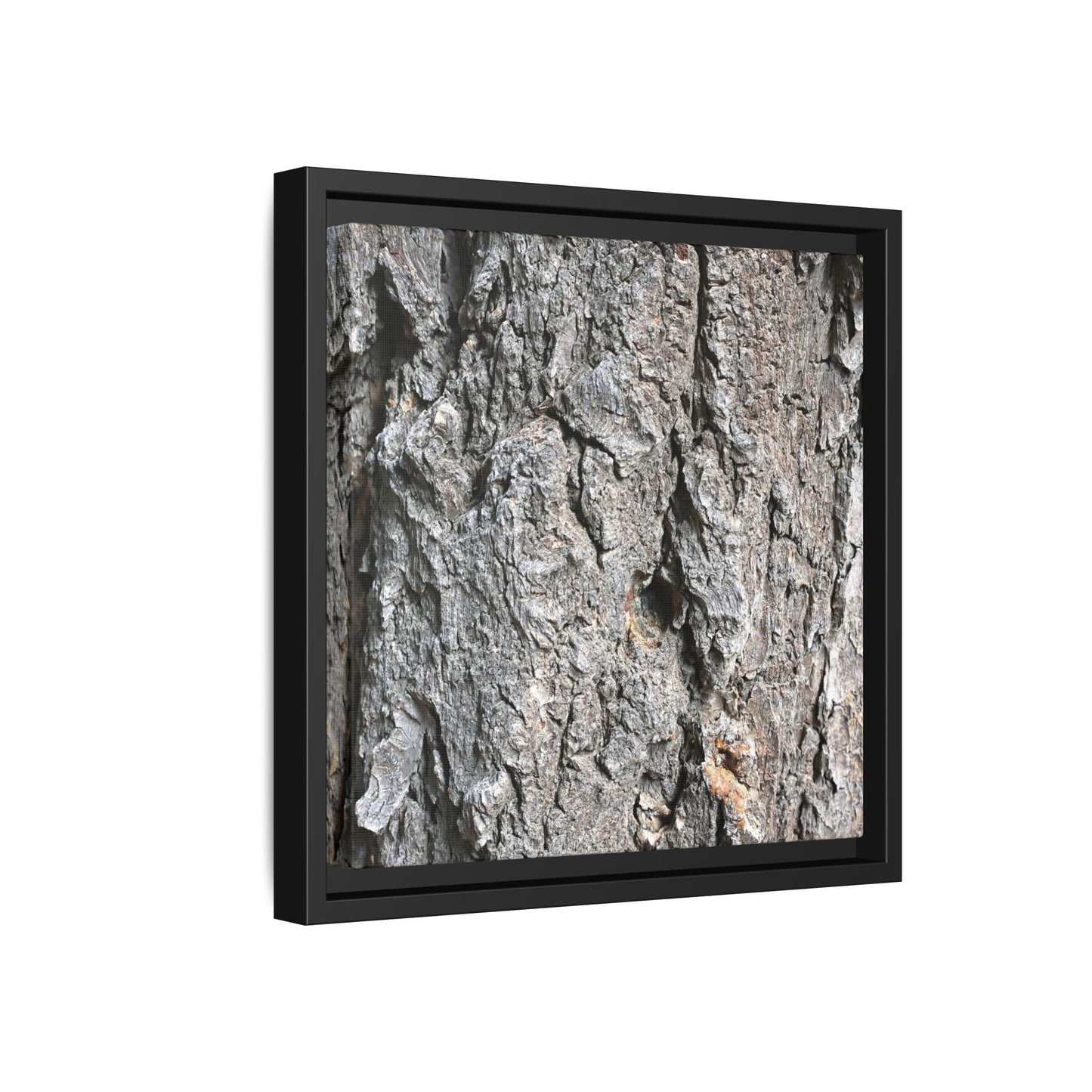 Crusty Exterior - Unique Stretched Canvas Wall Art
