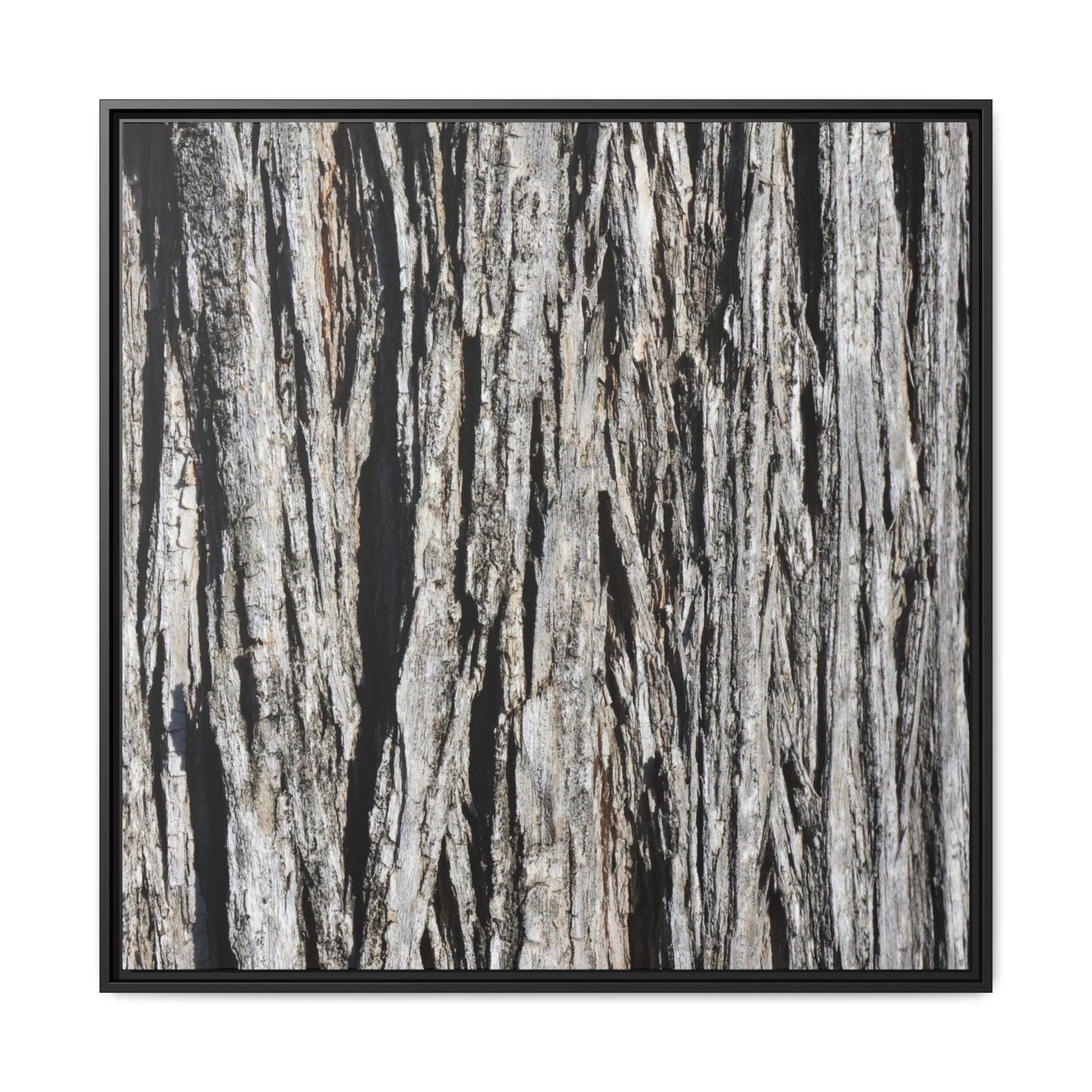 Nature's Abstract - Unique Stretched Canvas Wall Art