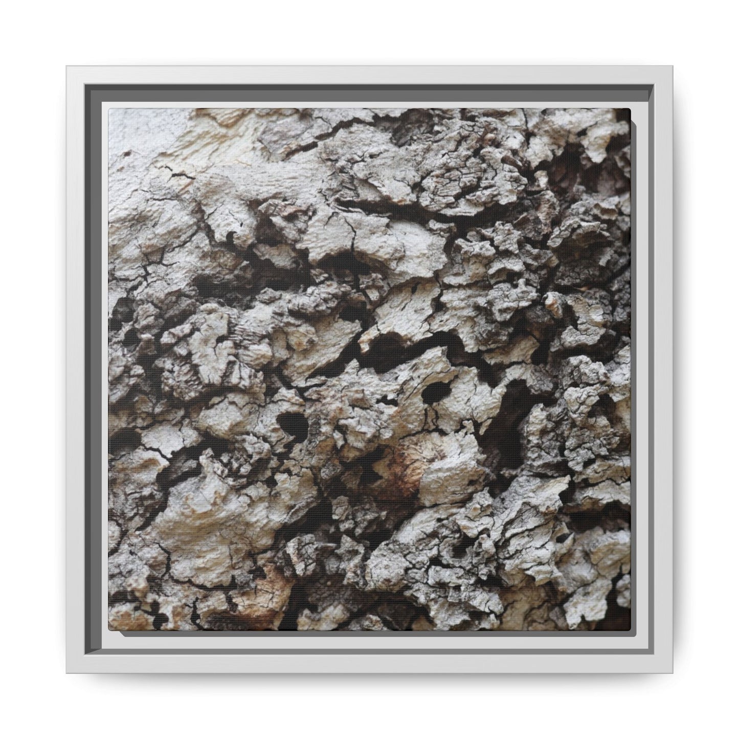 Cracked Terrain - Unique Stretched Canvas Wall Art
