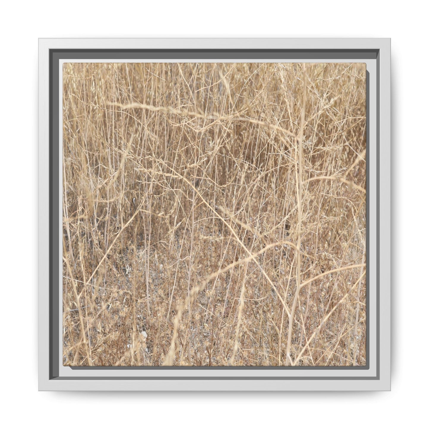 Golden Stalks - Unique Stretched Canvas Wall Art