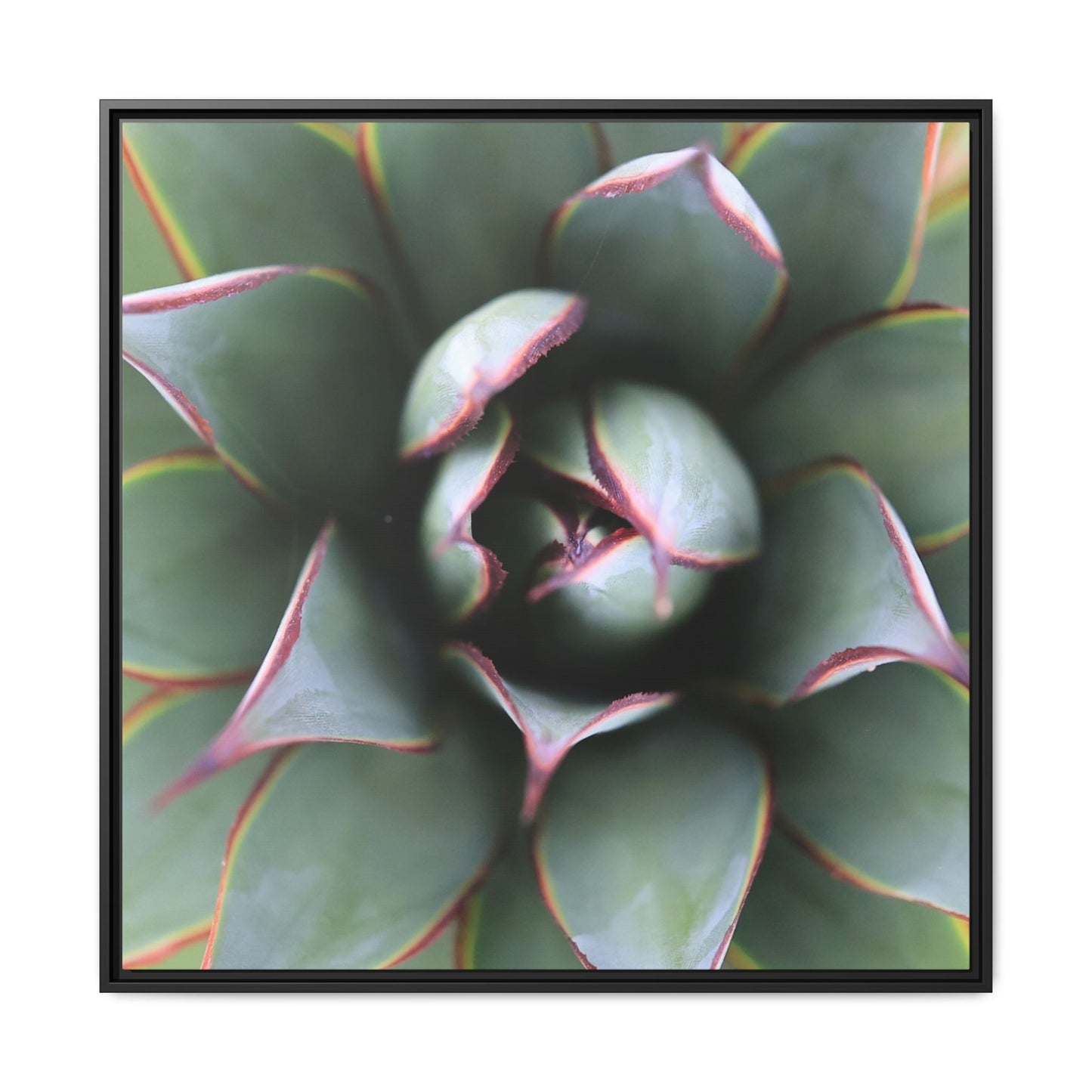 Spiky Elegance - Unique Stretched Canvas Wall Art