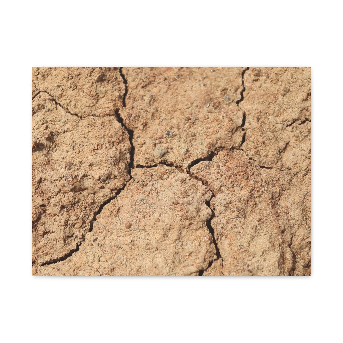 Cracked Earth's Lament - Unique Frameless Canvas Wall Art