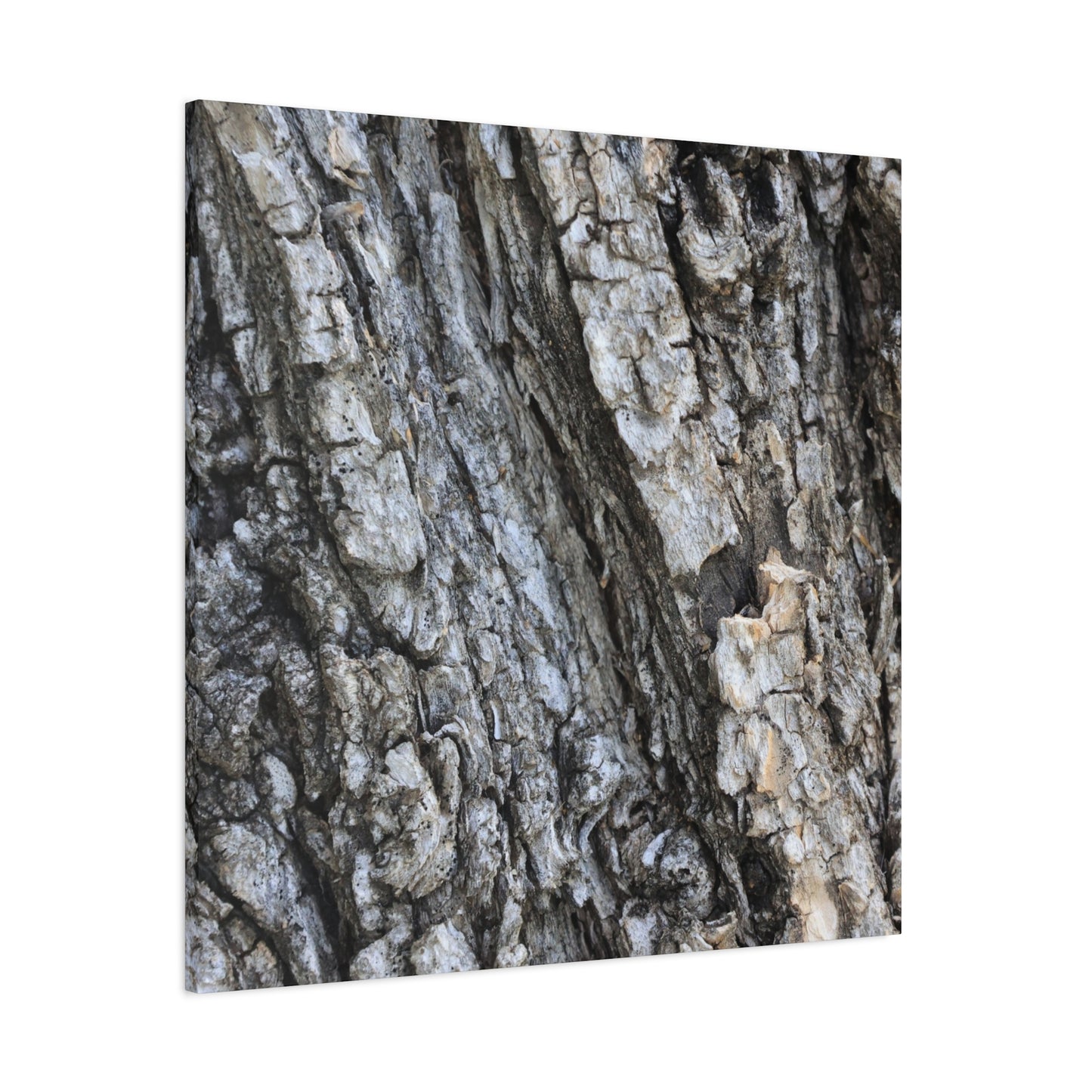 Nature's Rough Embrace - Unique Frameless Canvas Wall Art