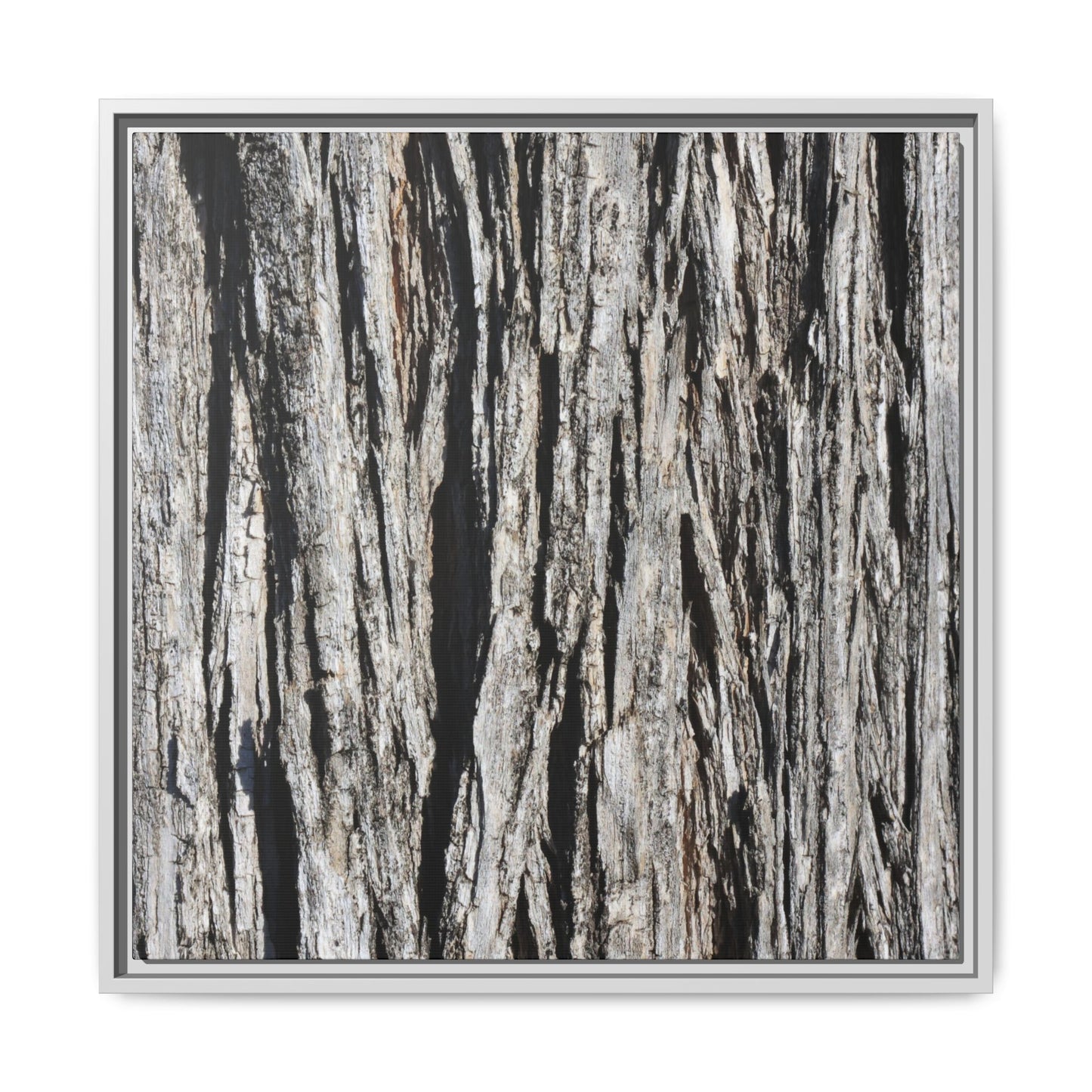 Bark Lines - Unique Stretched Canvas Wall Art