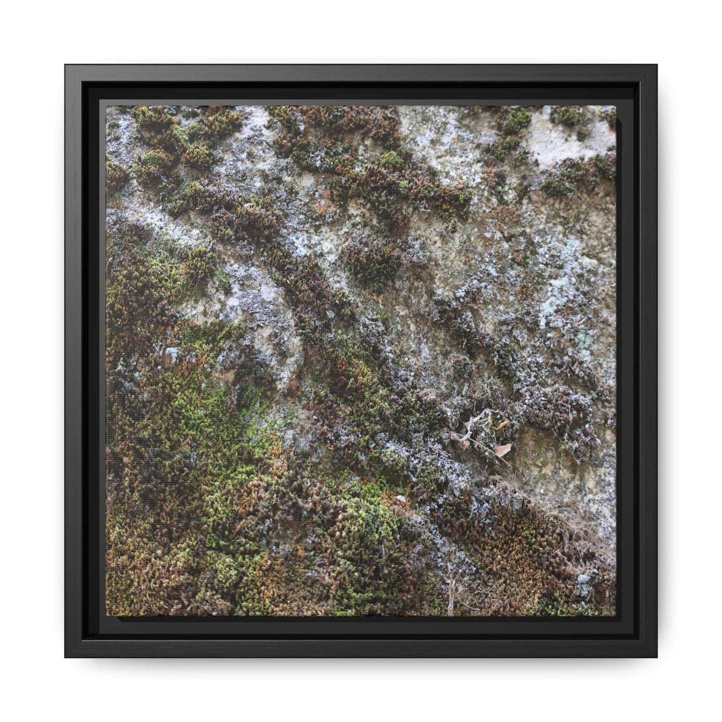 Mossy Whispers - Unique Stretched Canvas Wall Art
