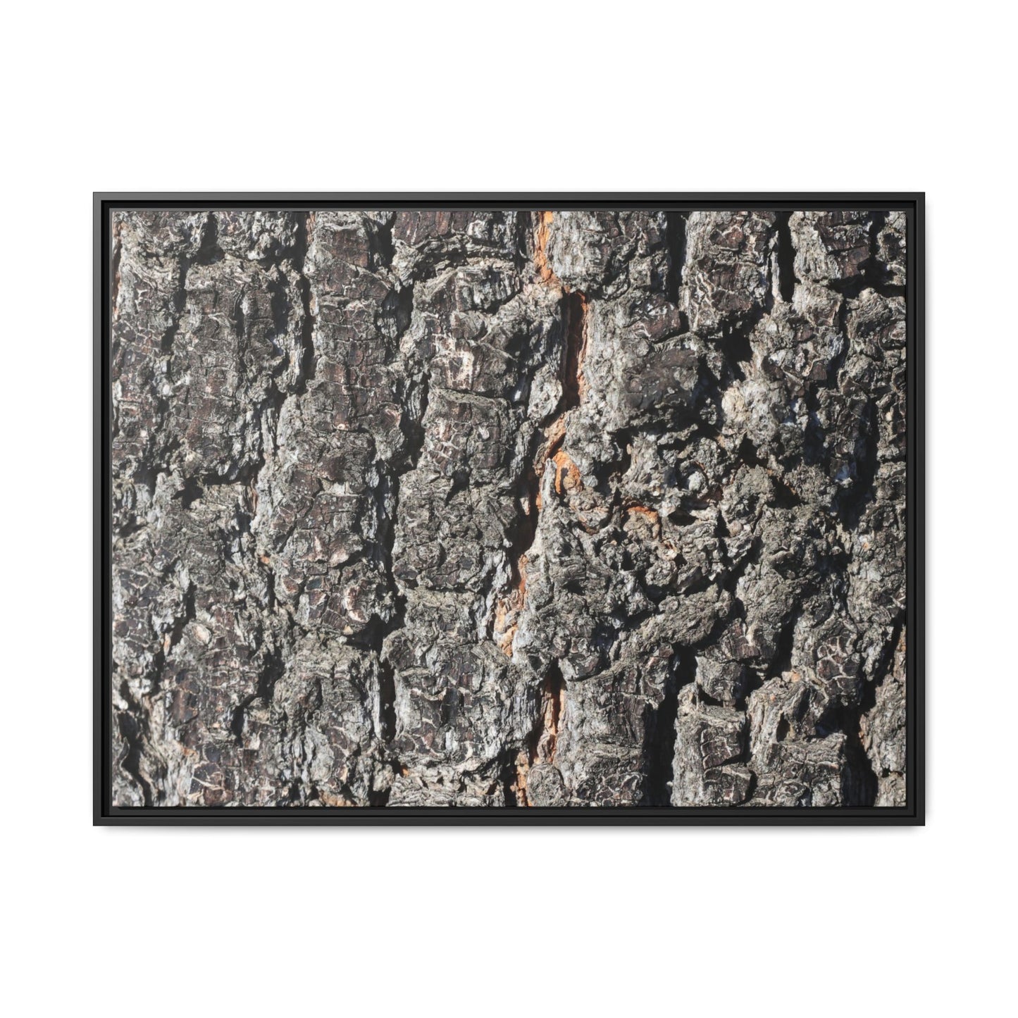 Aged Beauty - Unique Stretched Canvas Wall Art
