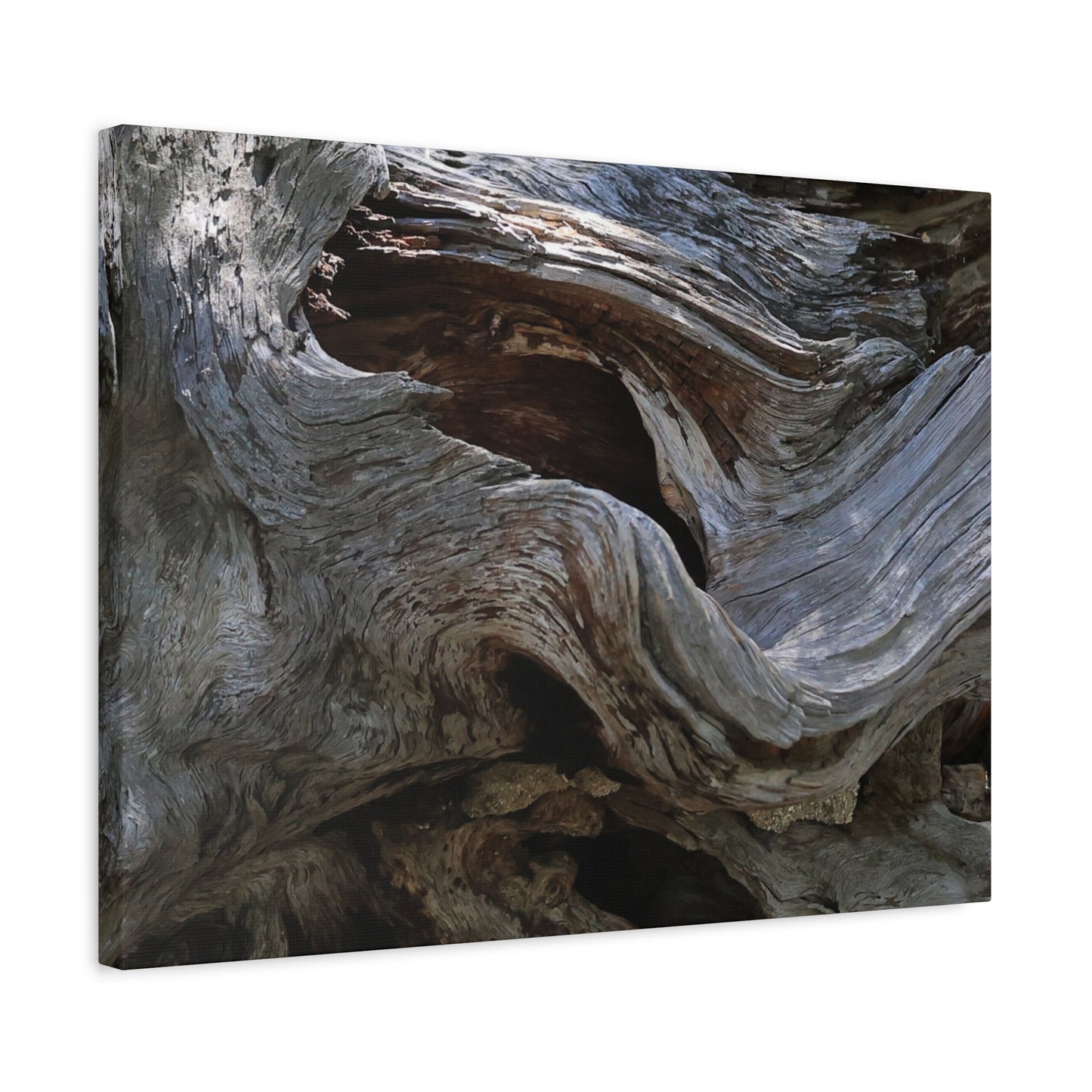 Twisted Fate - Unique Frameless Canvas Wall Art