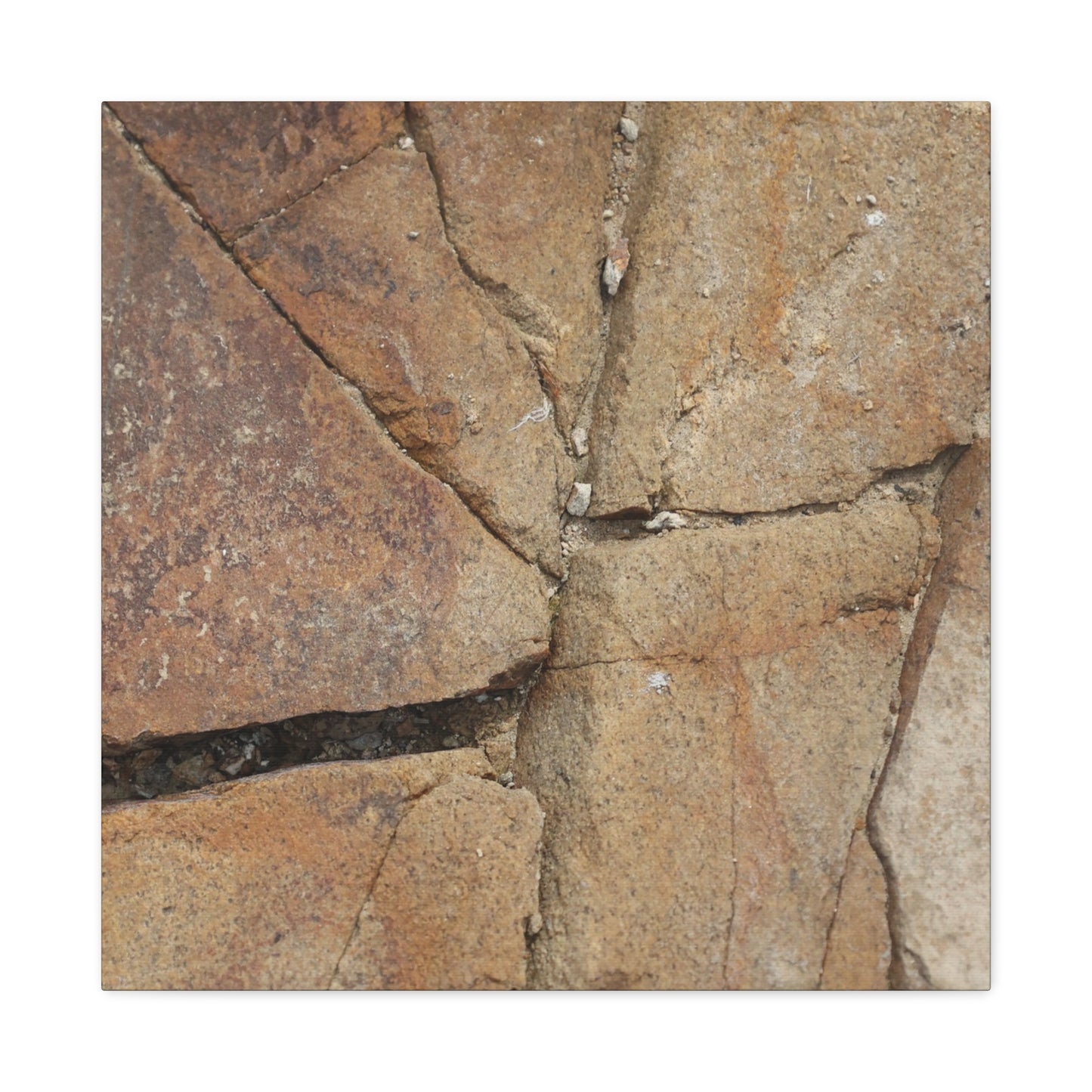Cracked Earth's Canvas - Unique Frameless Canvas Wall Art