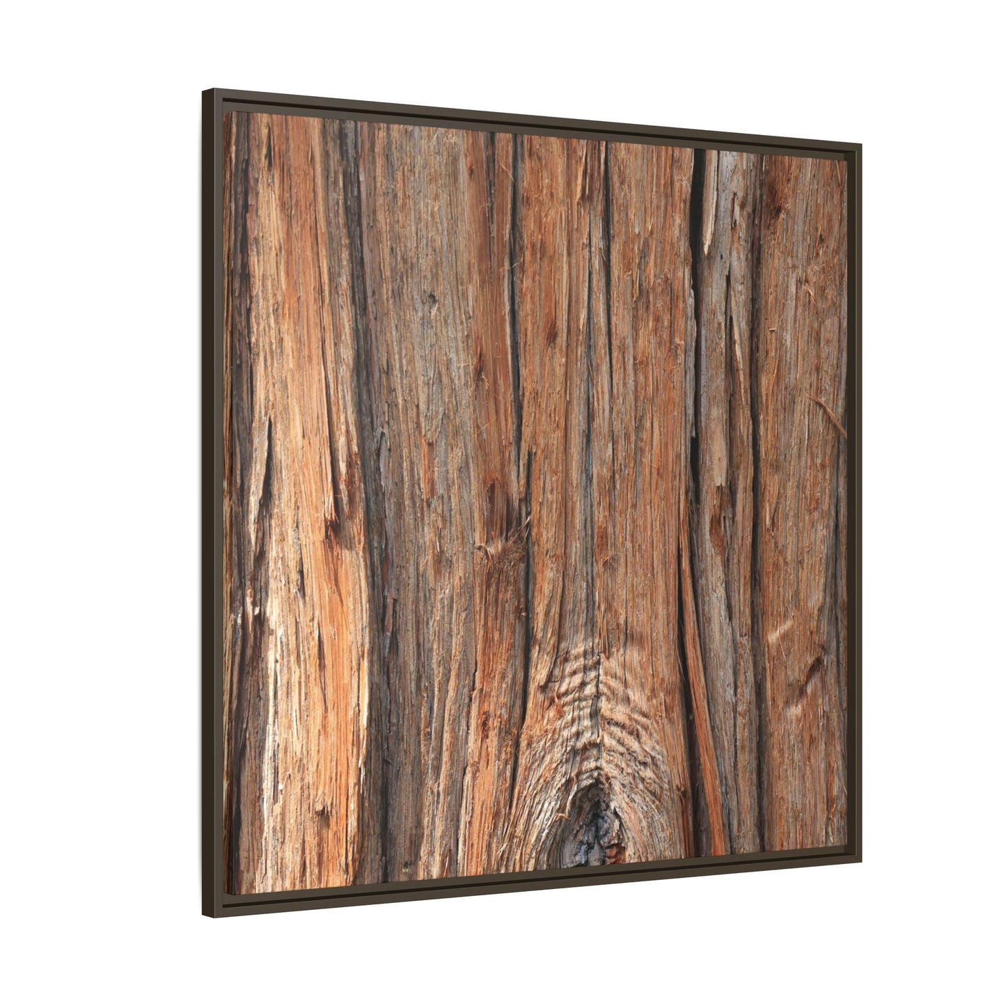 Echoes of Timber - Unique Stretched Canvas Wall Art