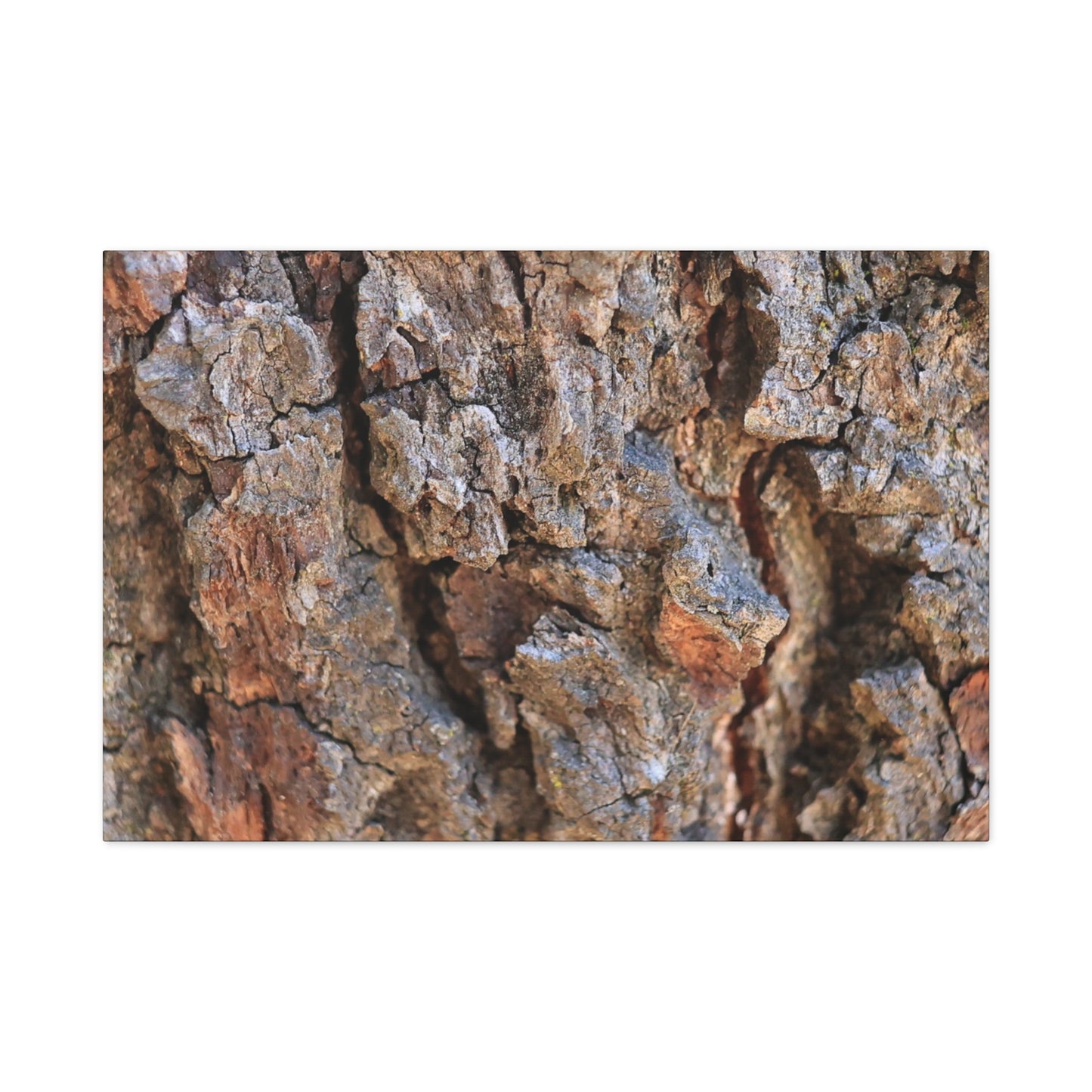 Nature's Skin - Unique Frameless Canvas Wall Art