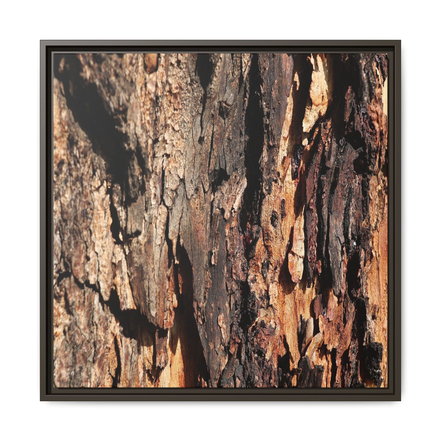 Rugged Beauty - Unique Stretched Canvas Wall Art