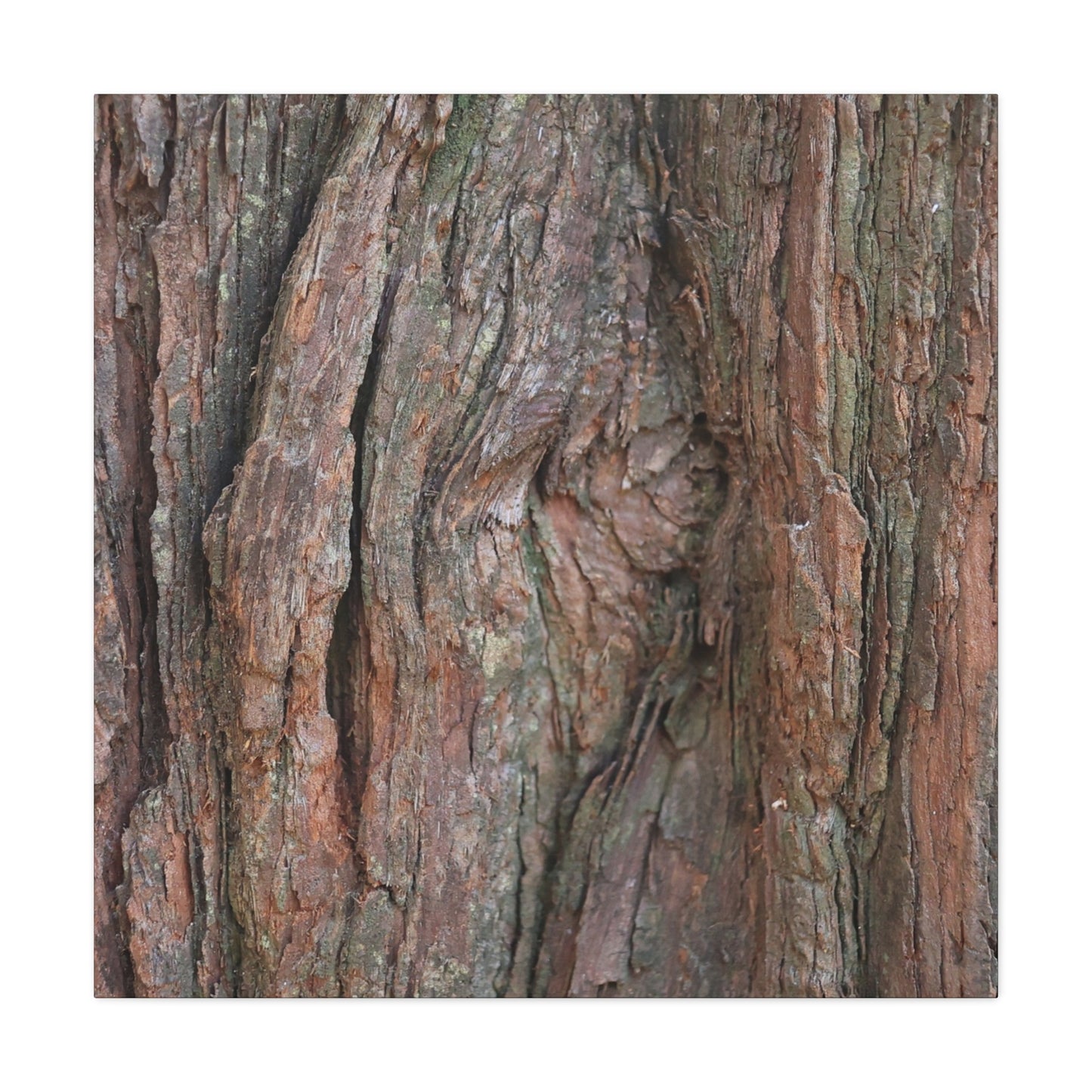Rustic Embrace - Unique Frameless Canvas Wall Art