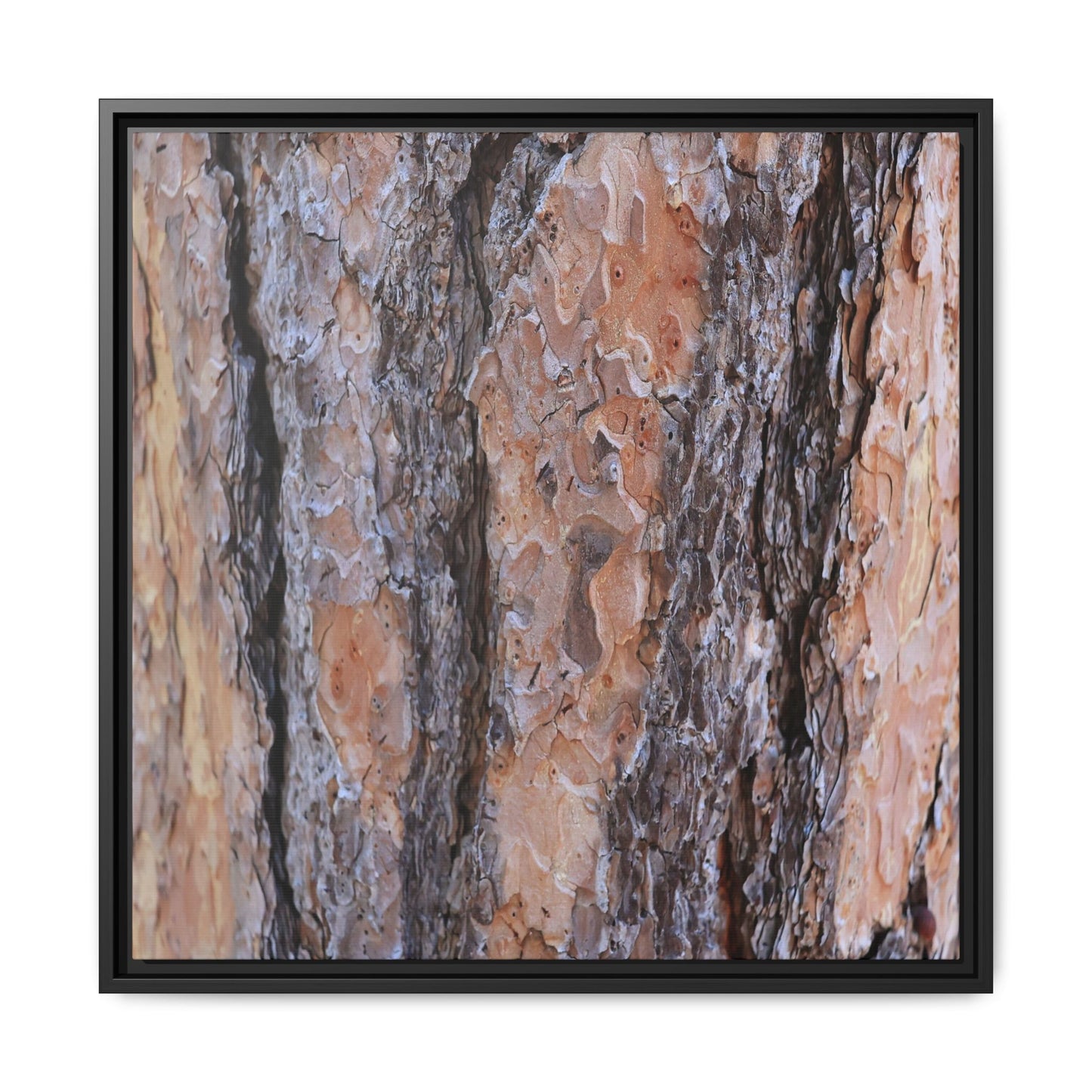 Earthy Embrace - Unique Stretched Canvas Wall Art