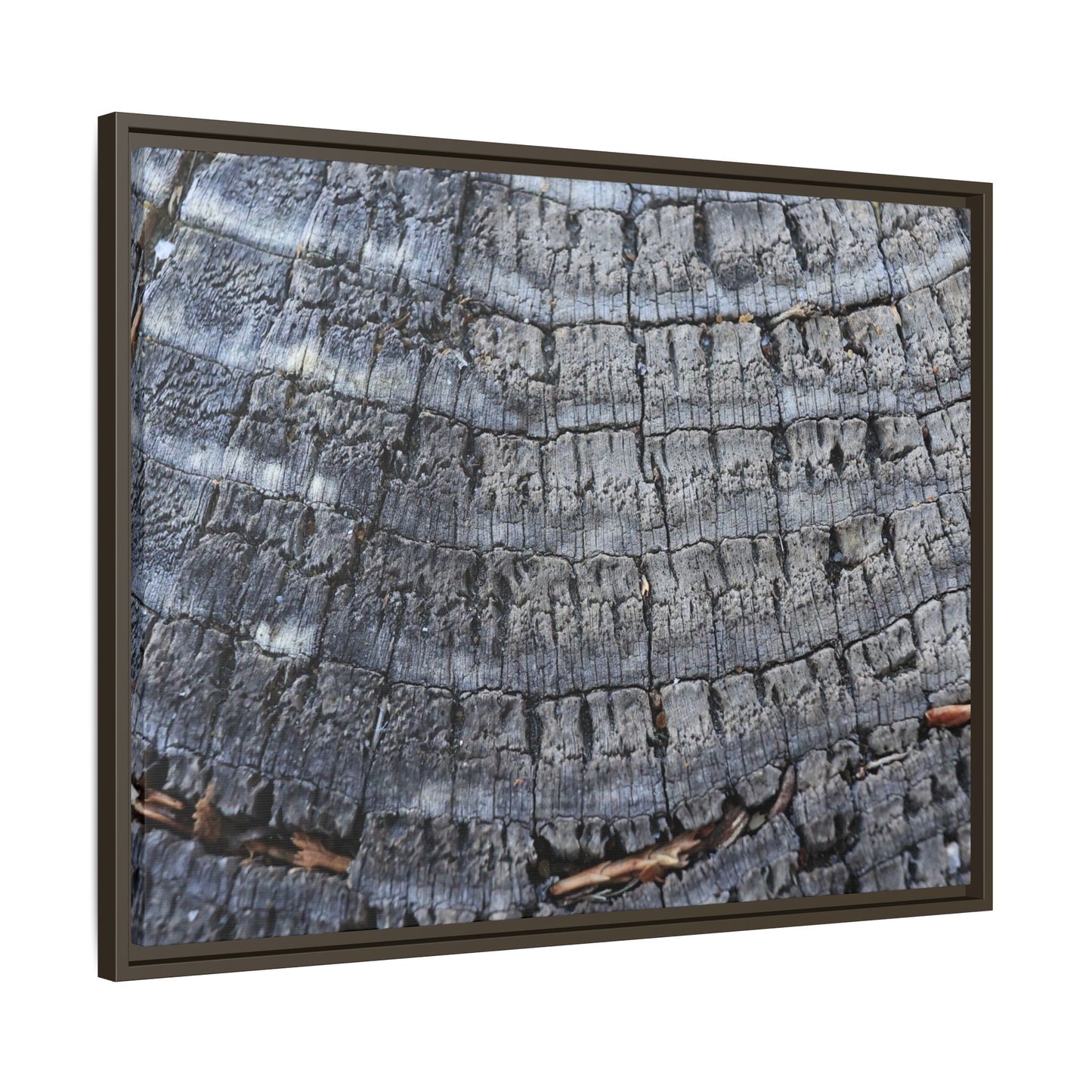 Charred Memories - Unique Stretched Canvas Wall Art