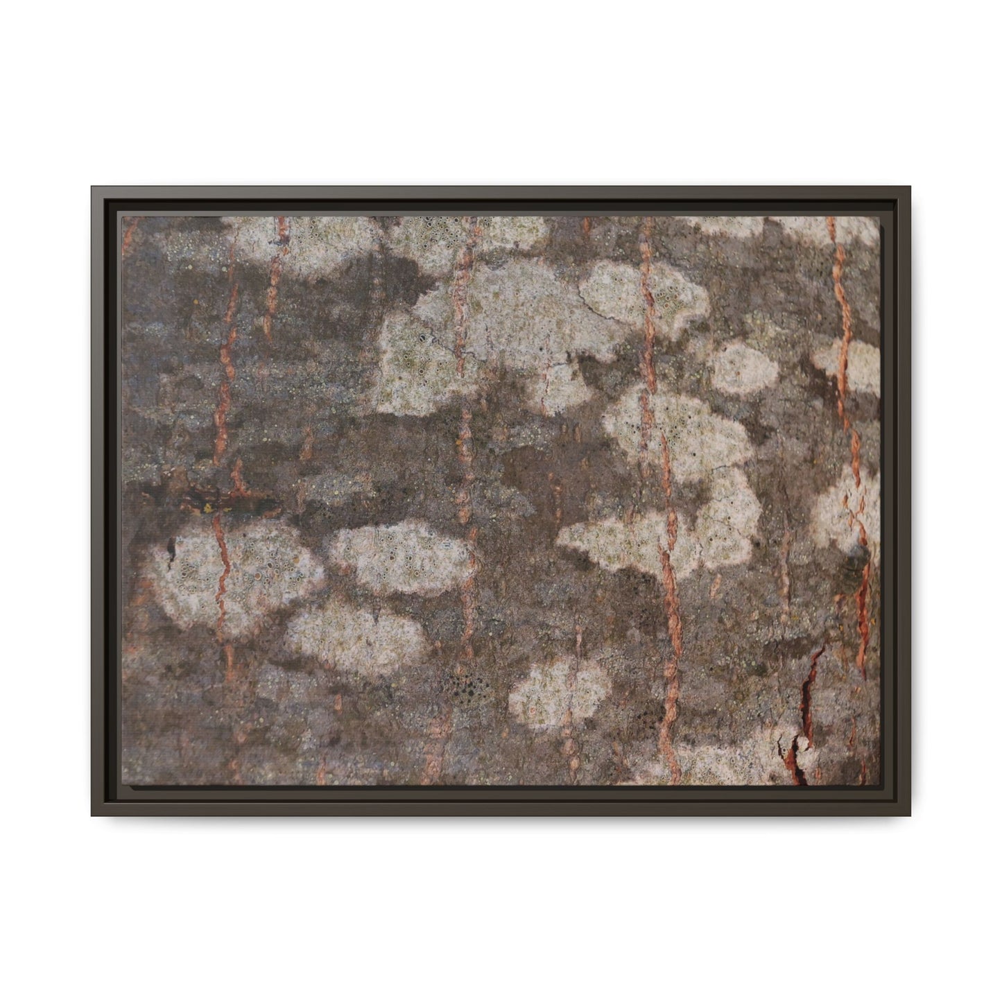 Lichen's Legacy - Unique Stretched Canvas Wall Art