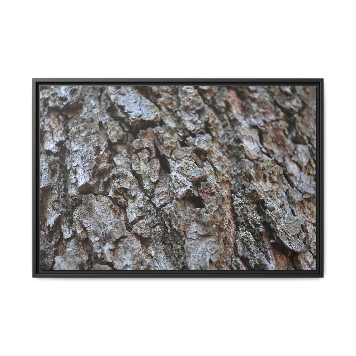 Woodland Canvas - Unique Stretched Canvas Wall Art