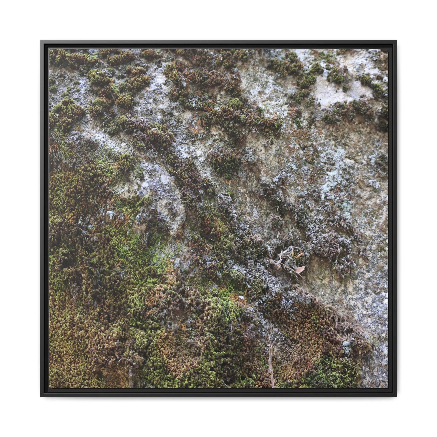 Mossy Whispers - Unique Stretched Canvas Wall Art