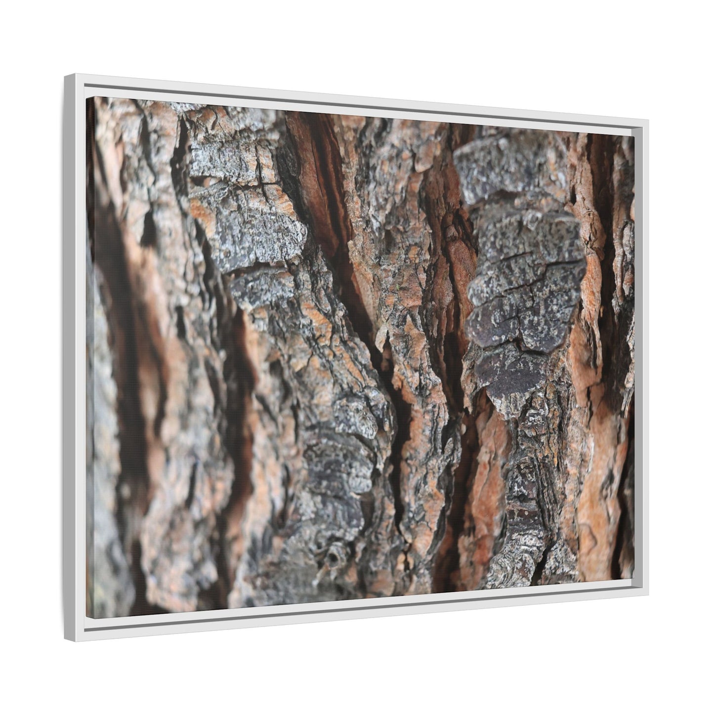 Fractured Nature - Unique Stretched Canvas Wall Art