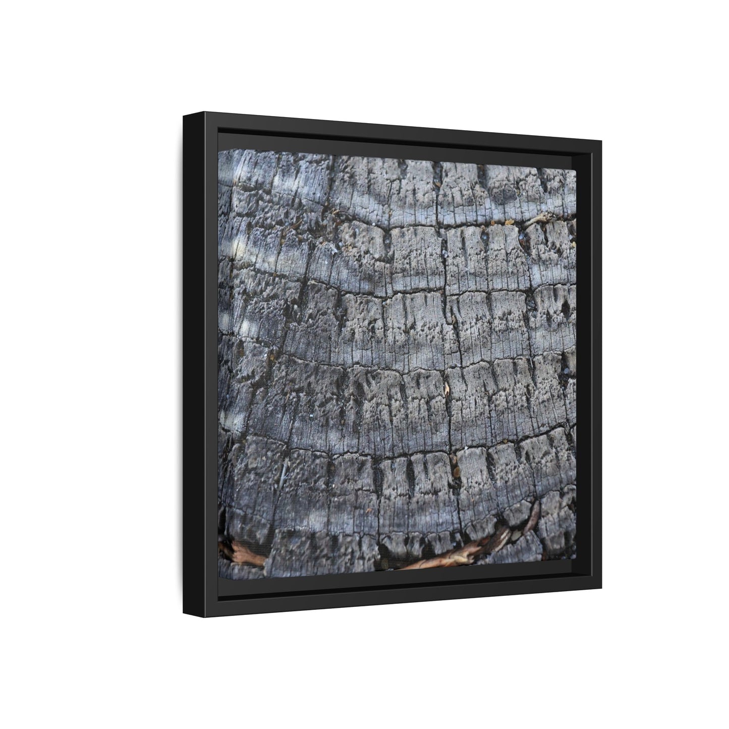 Charred Memories - Unique Stretched Canvas Wall Art