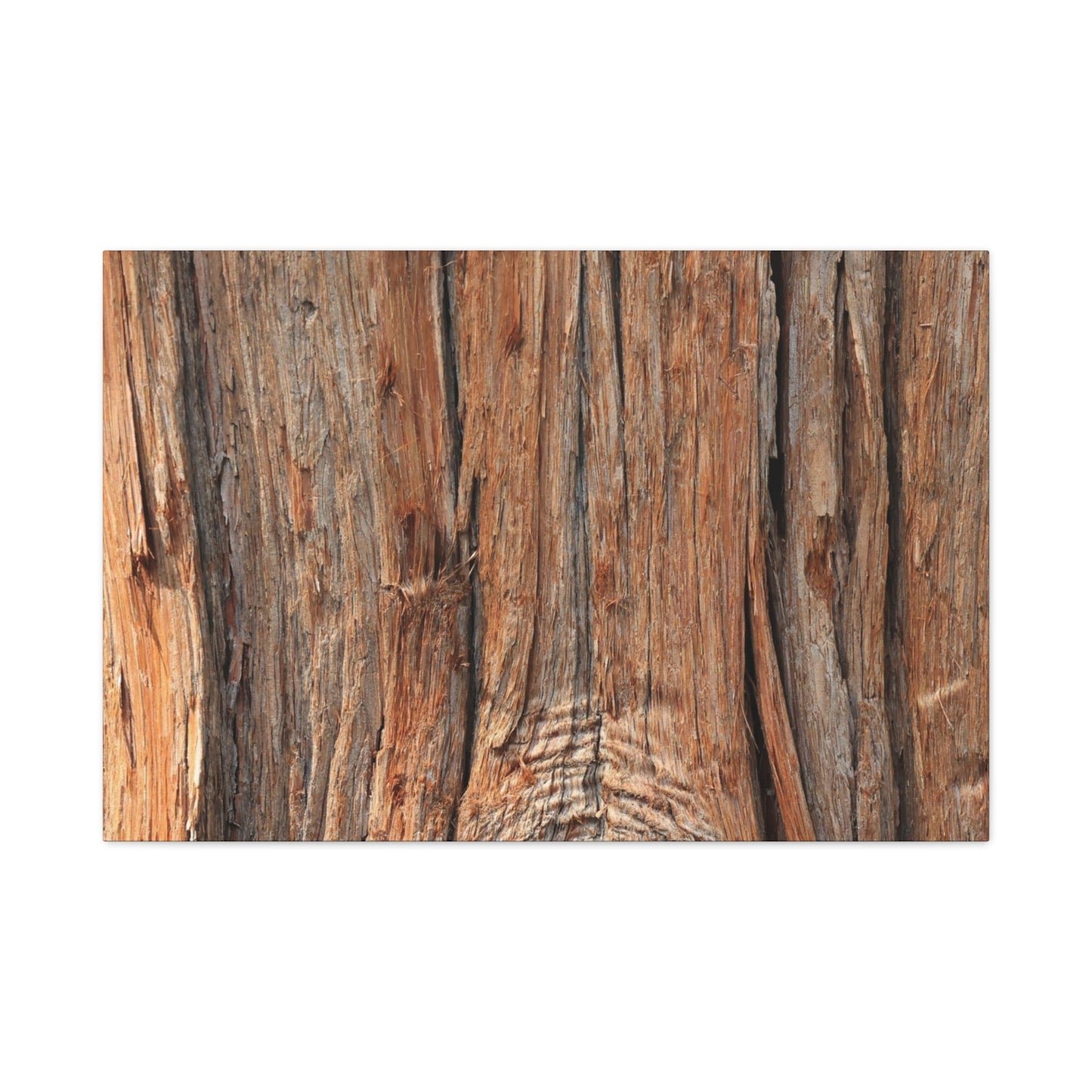 Bark's Ancient Whispers - Unique Frameless Canvas Wall Art