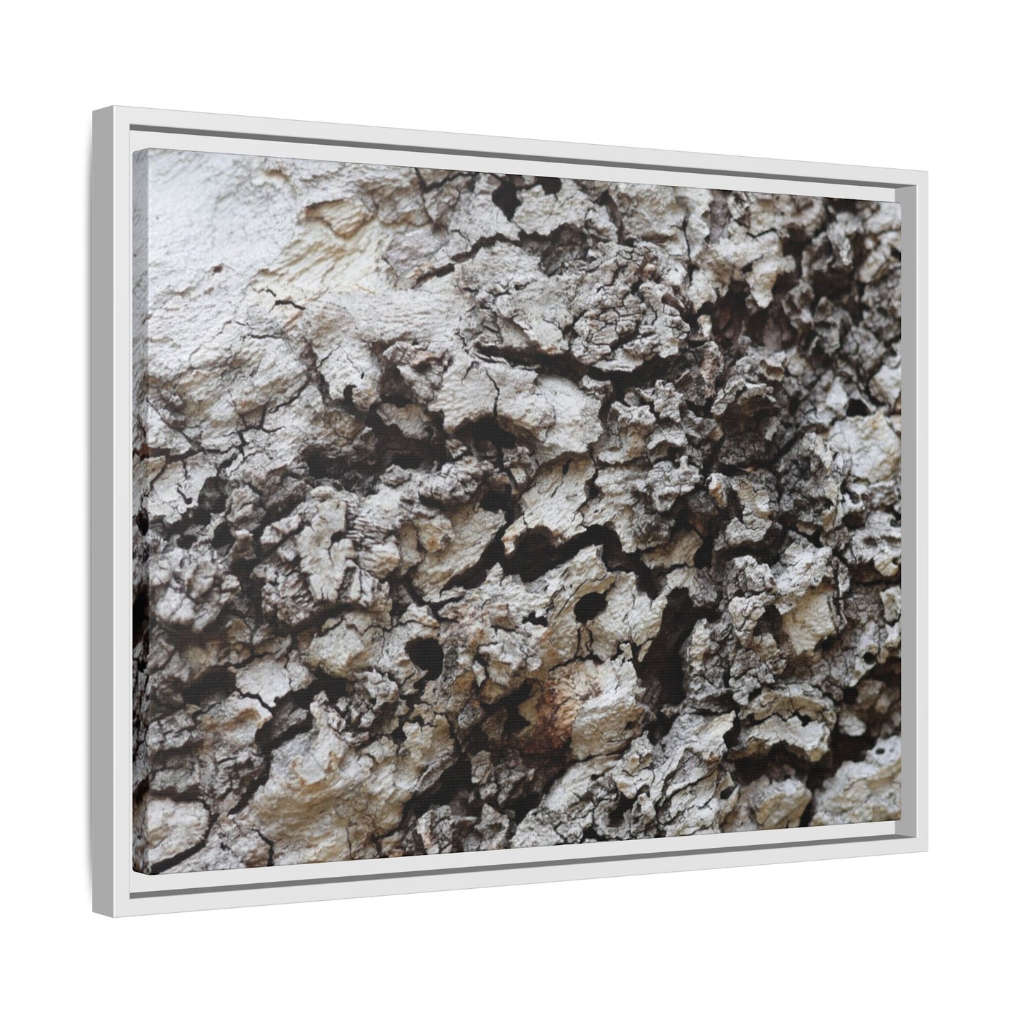 Cracked Terrain - Unique Stretched Canvas Wall Art