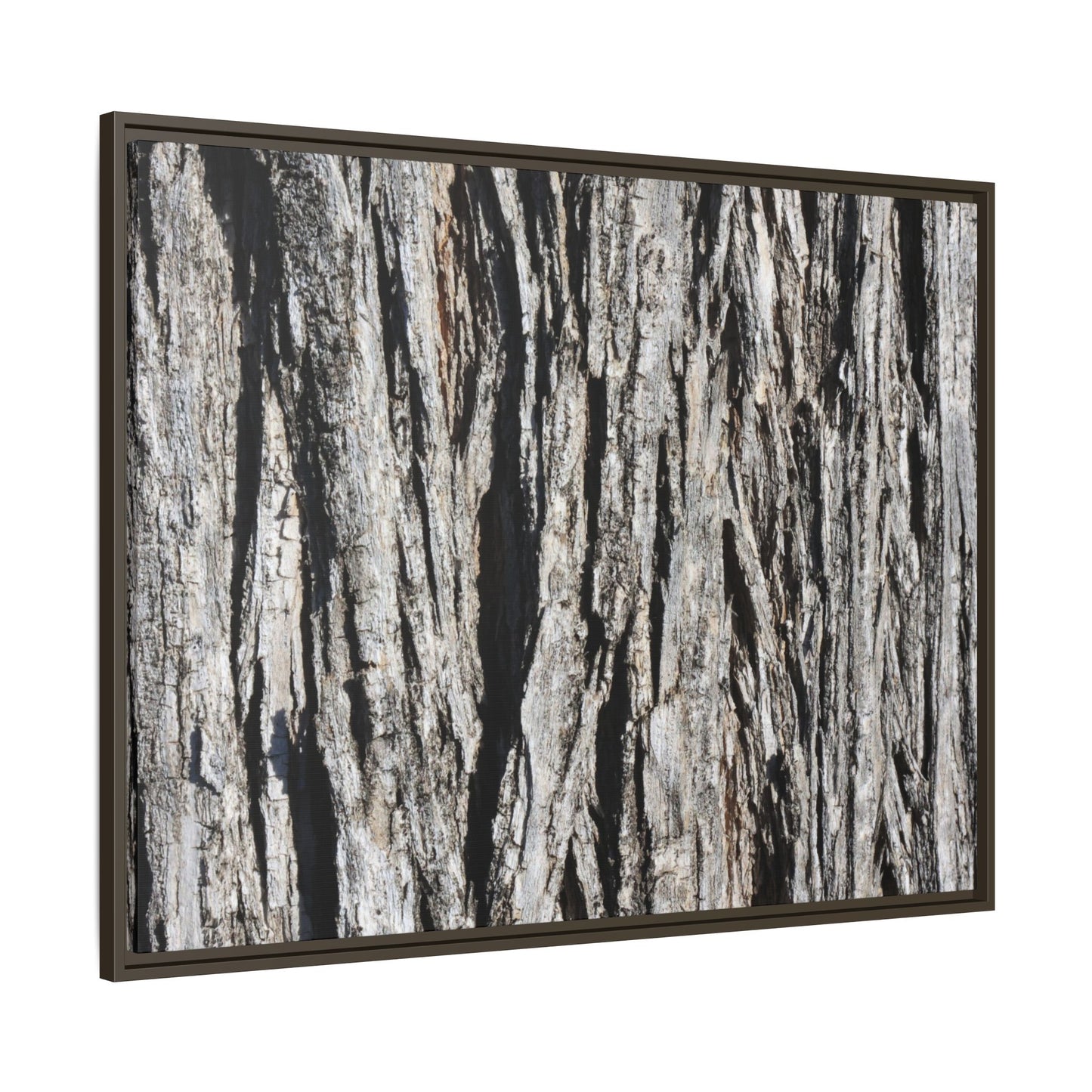 Bark Lines - Unique Stretched Canvas Wall Art