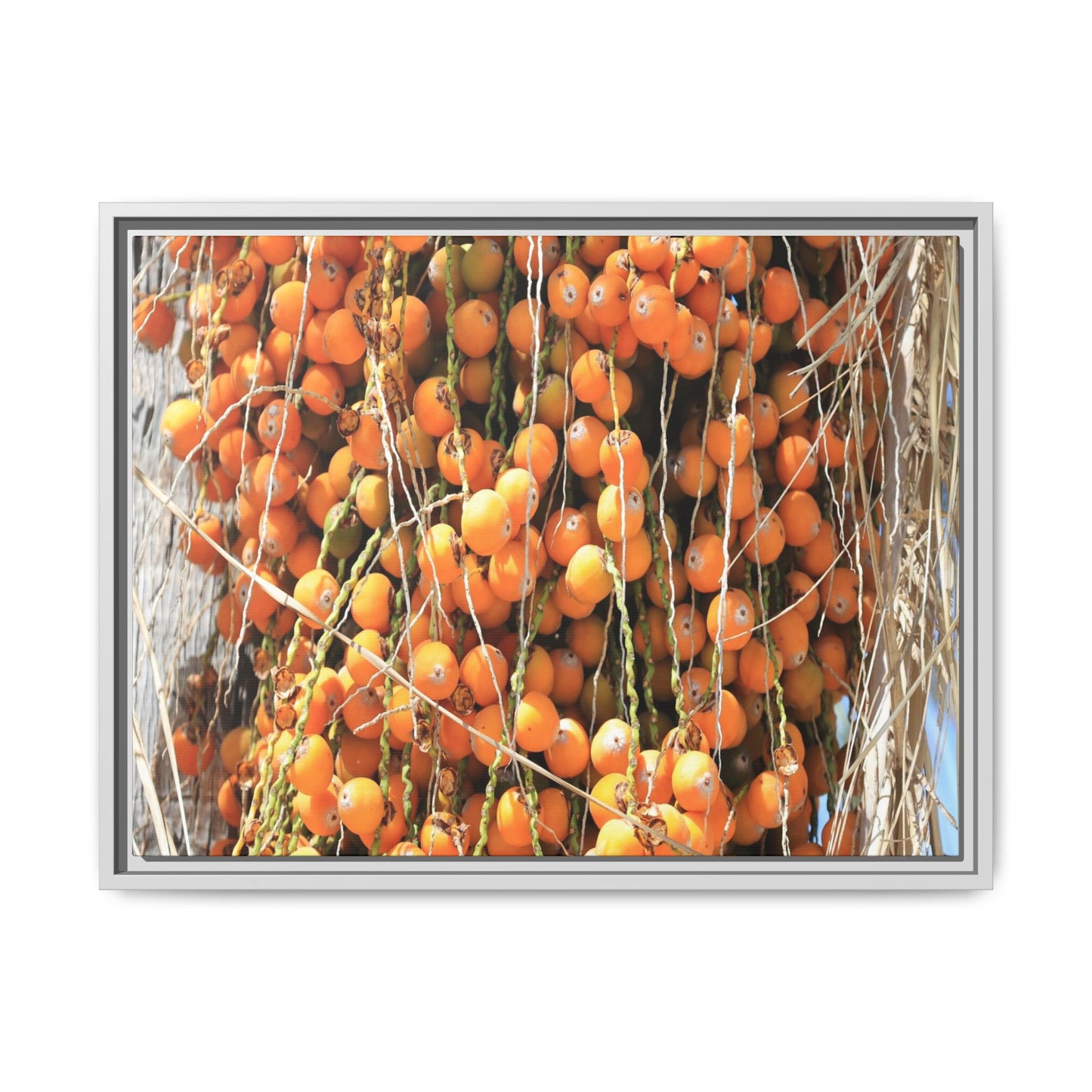 Clusters of Sunlight - Unique Canvas Wall Art