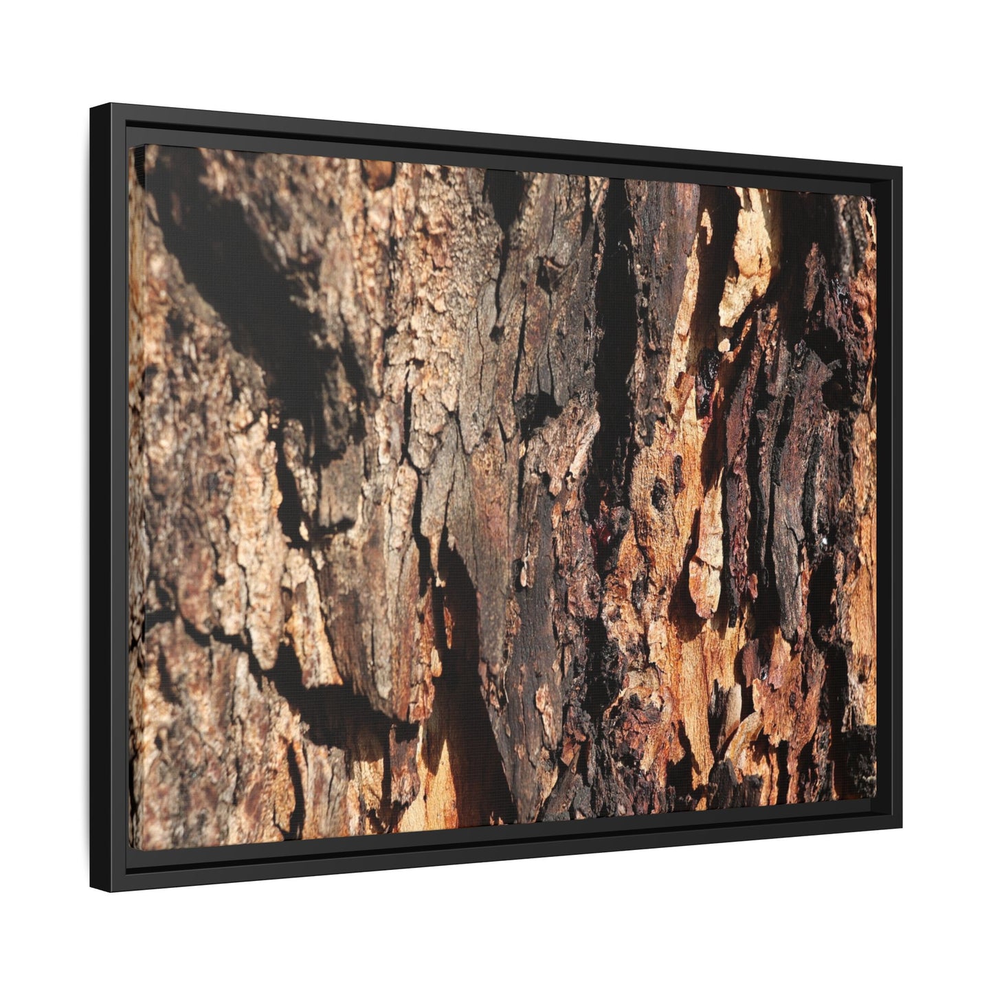 Rugged Beauty - Unique Stretched Canvas Wall Art