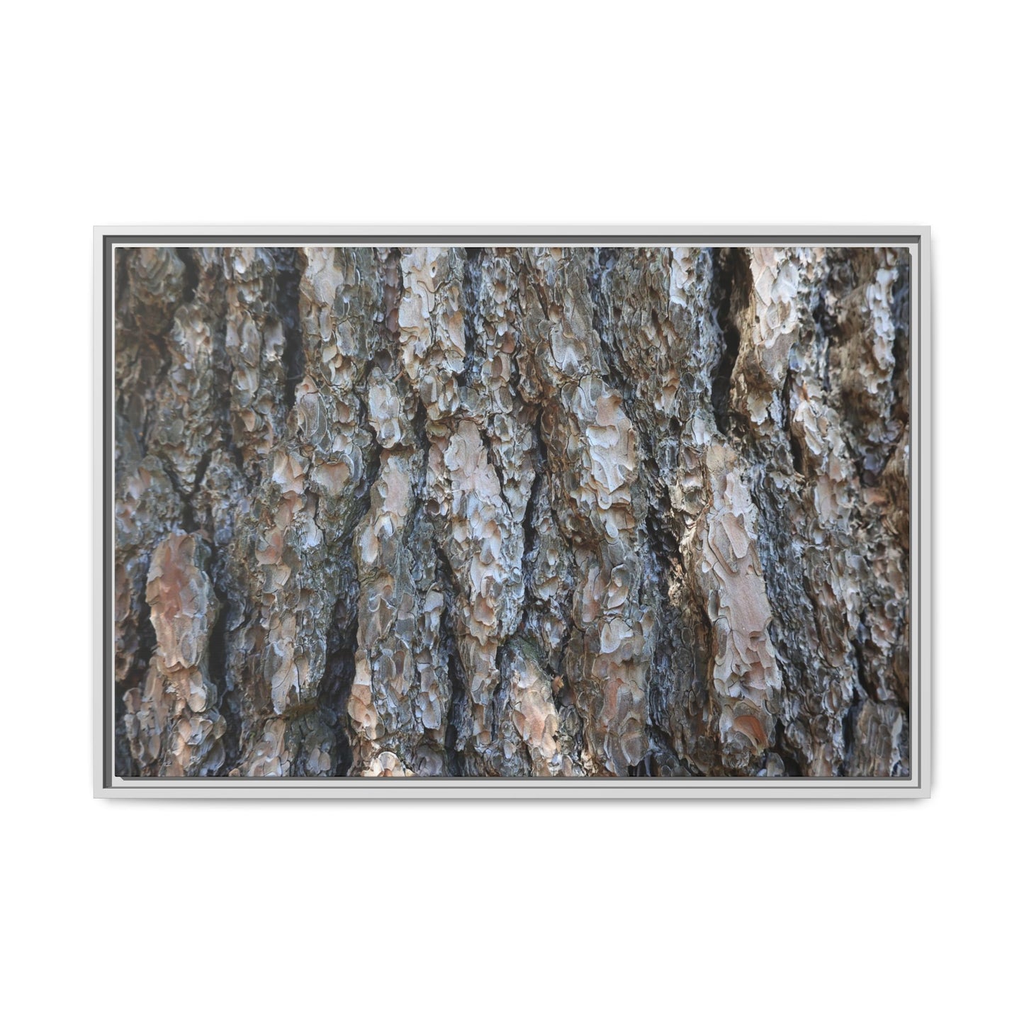 Bark Whispers - Unique Stretched Canvas Wall Art
