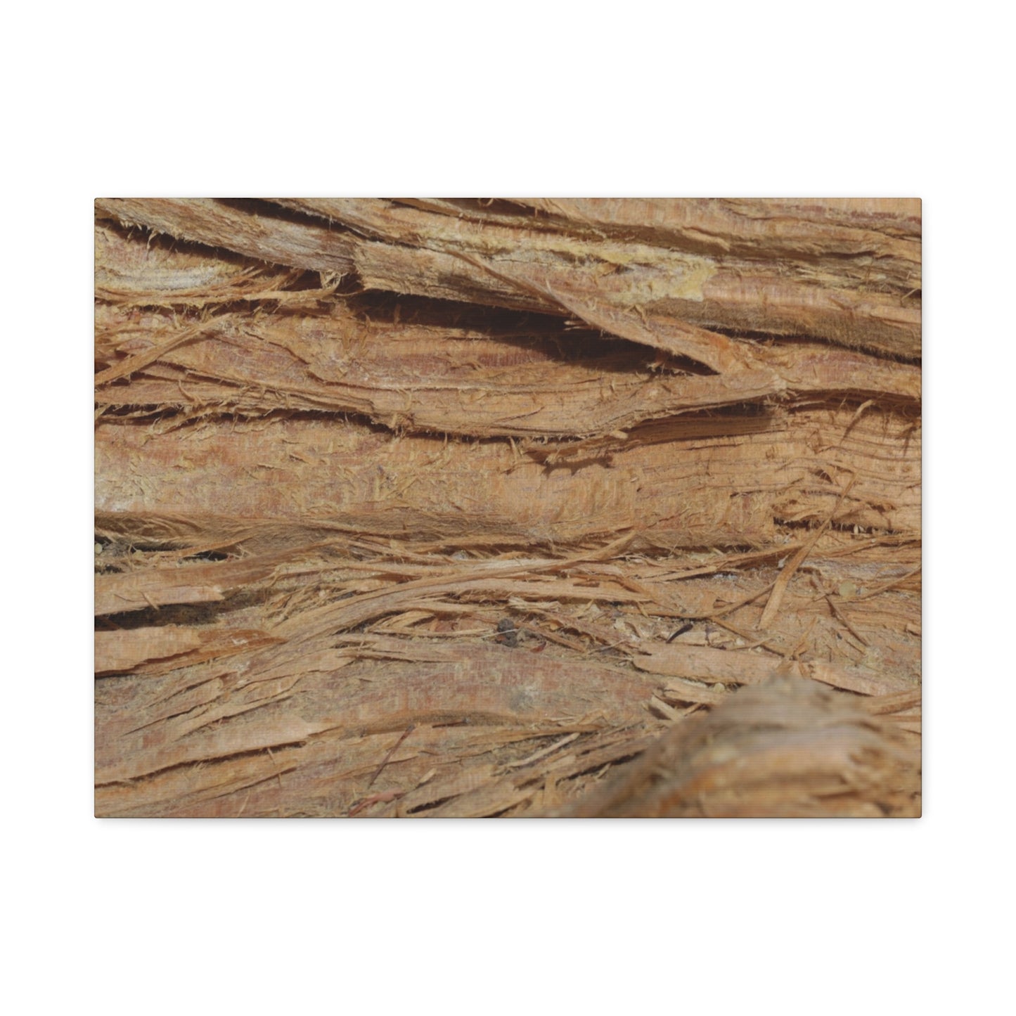 Layers of Memory - Unique Frameless Canvas Wall Art