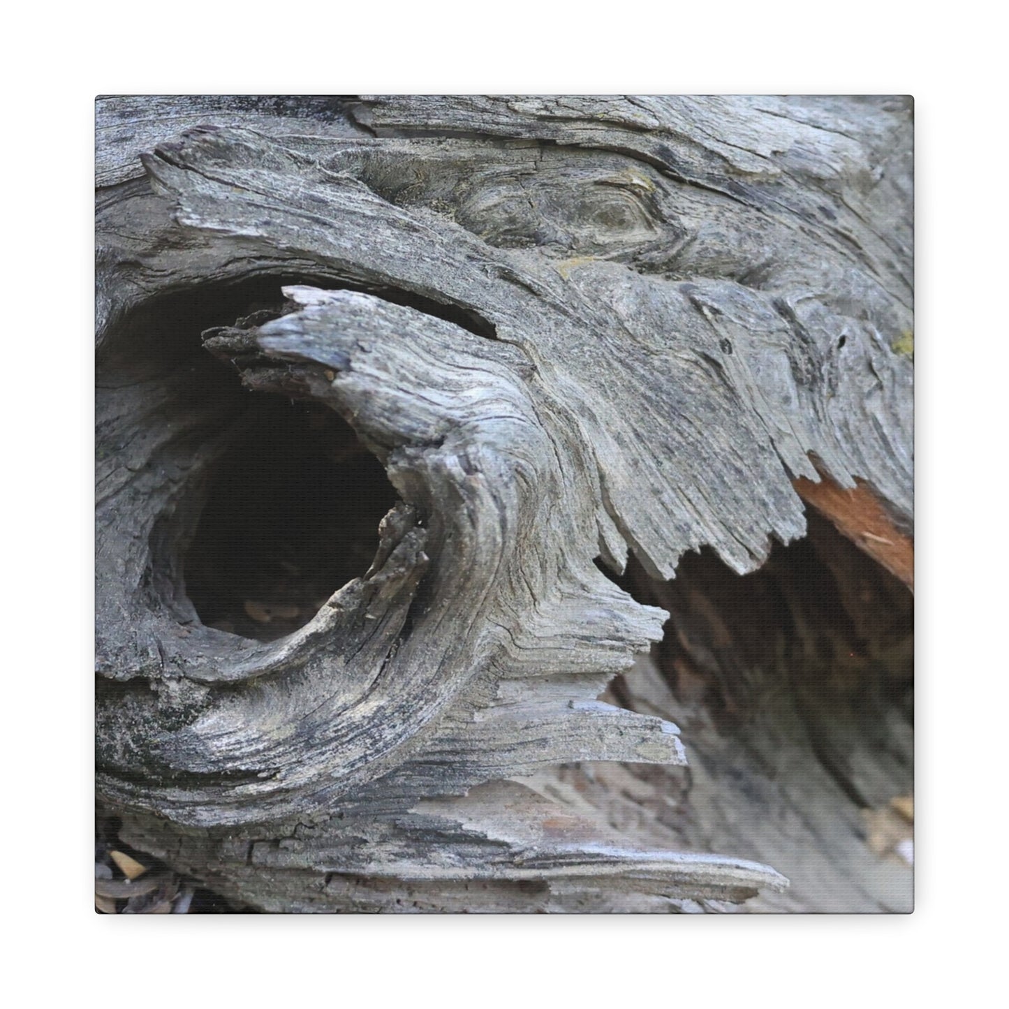 Twisted Whispers of the Forest Floor - Unique Frameless Canvas Wall Art