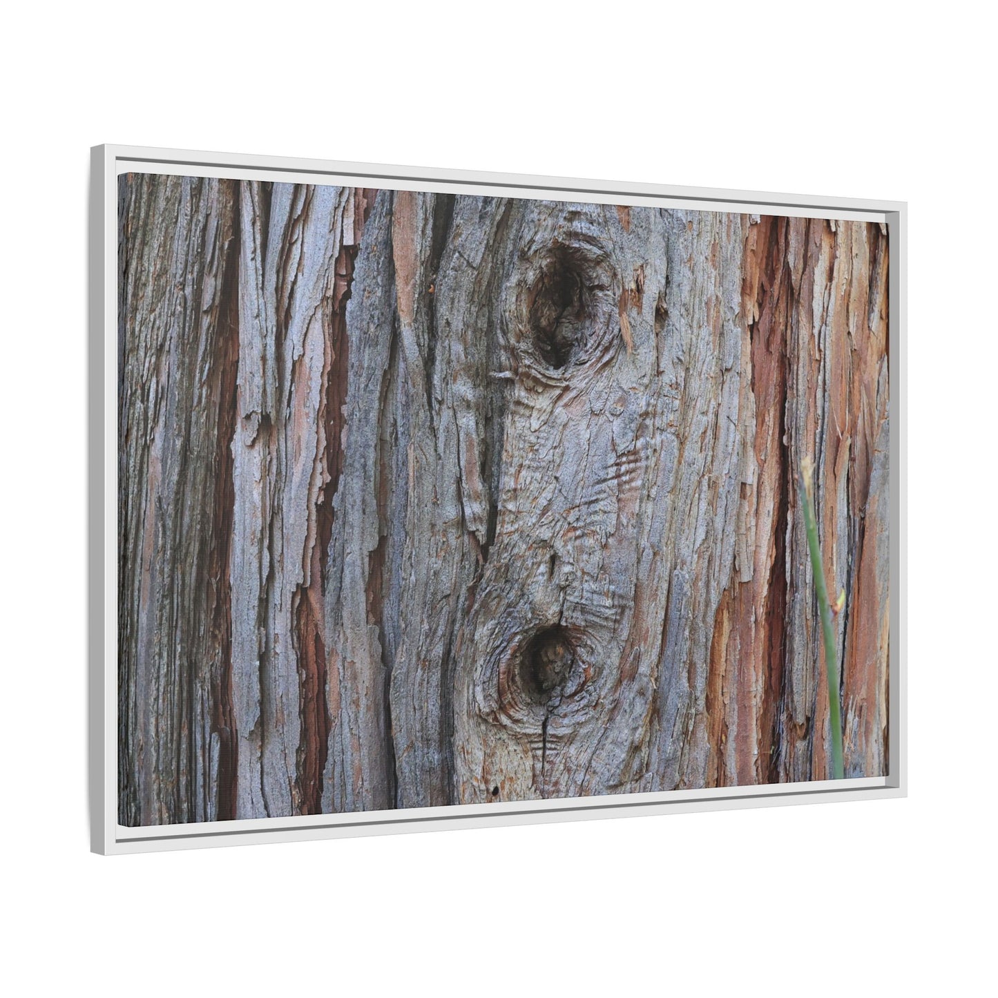 Knotty Nature - Unique Stretched Canvas Wall Art